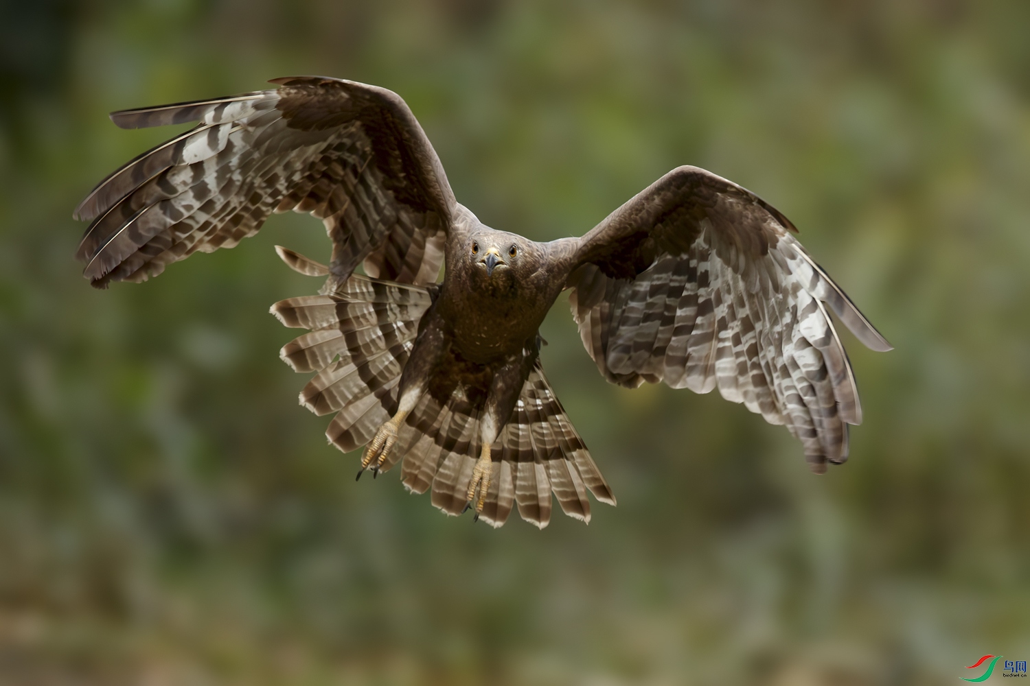 AQ9I5912-����ǿ-NR ����.jpg