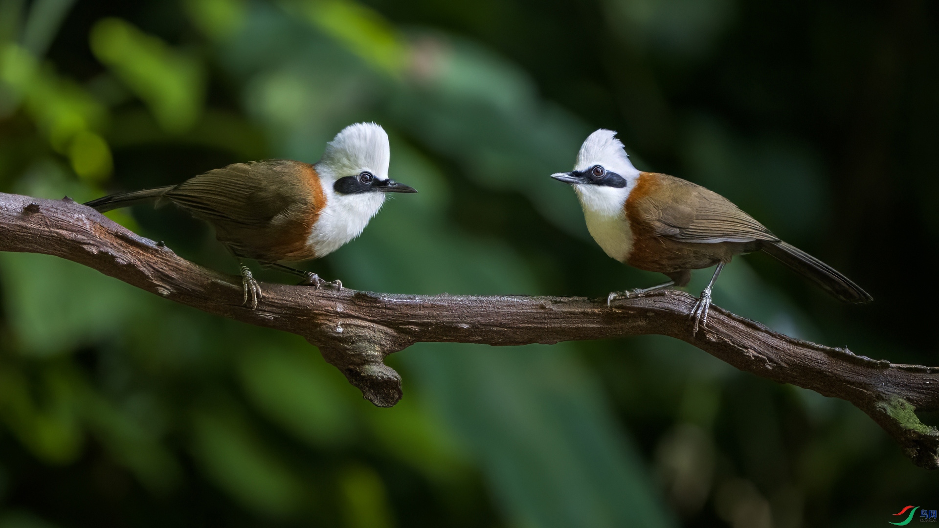 _DSC5761 ���� 2.jpg