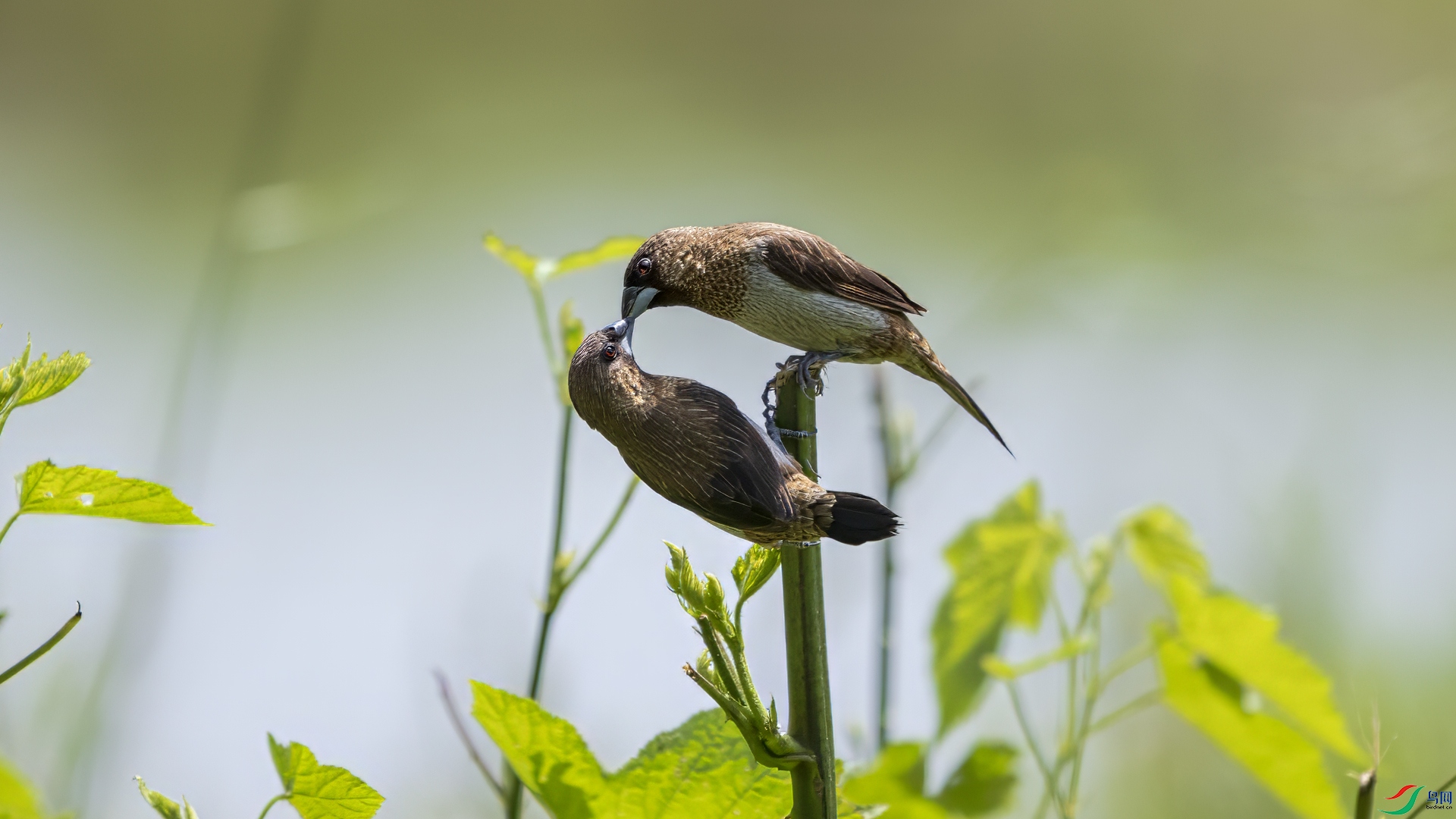 _DSC9997 ����.jpg