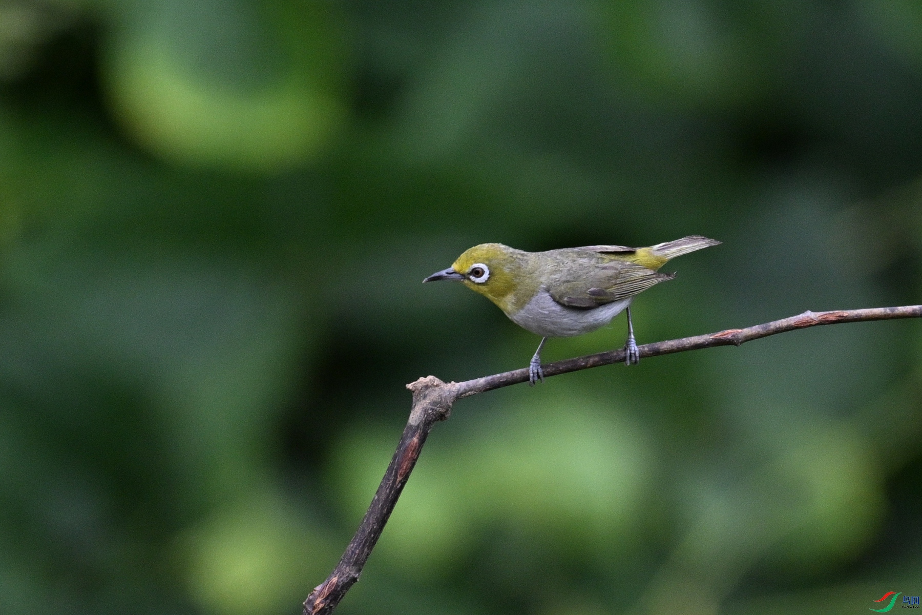 DSC_7938.JPG