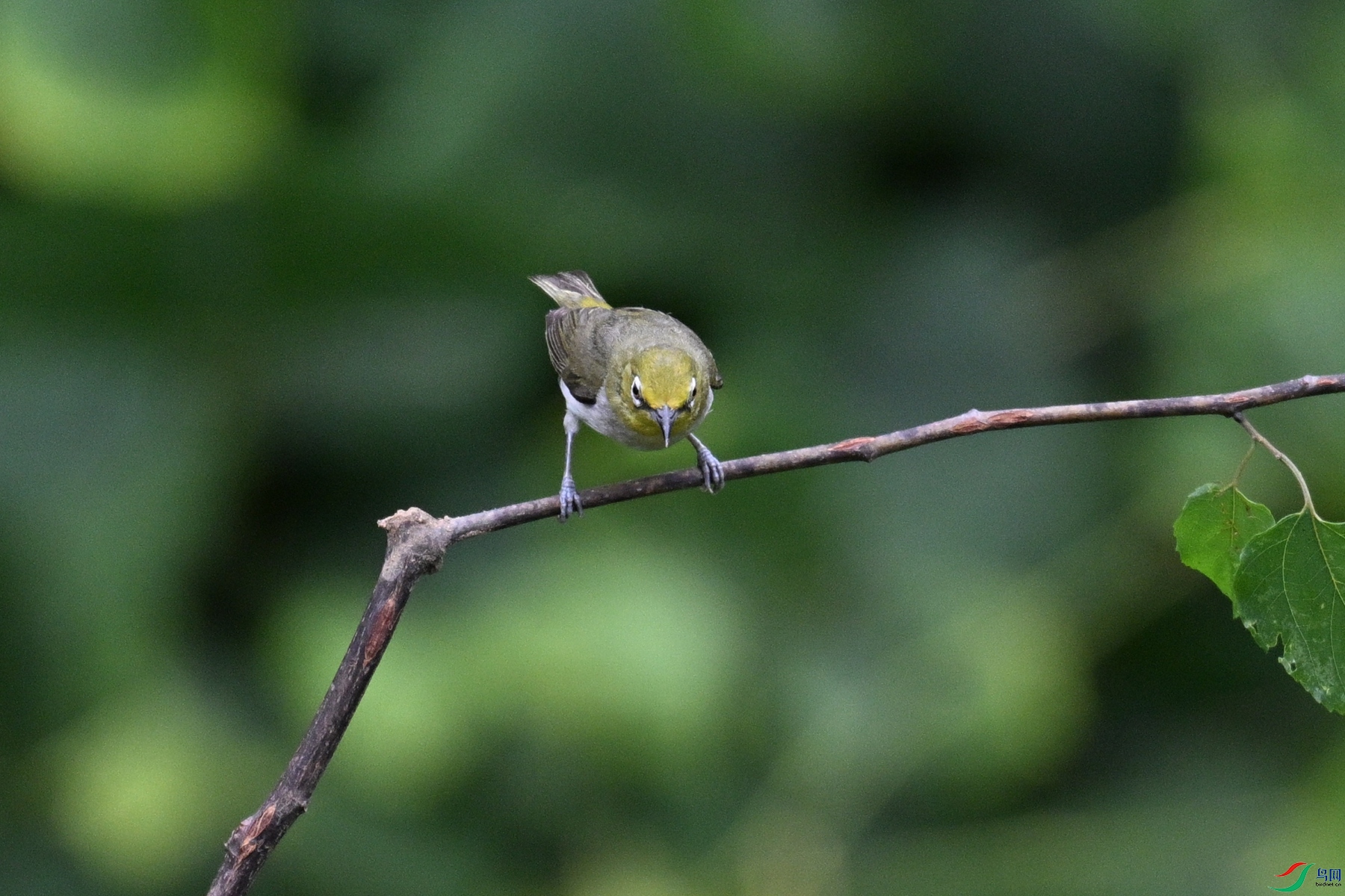 DSC_7913.JPG