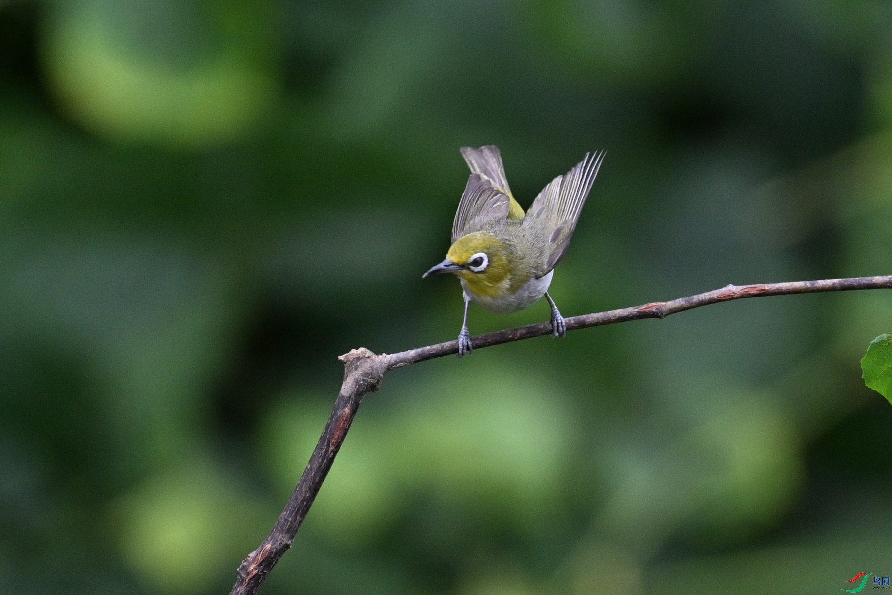 DSC_7929.JPG