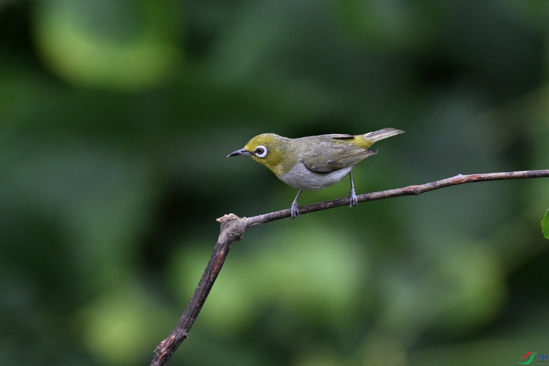 DSC_7941.JPG