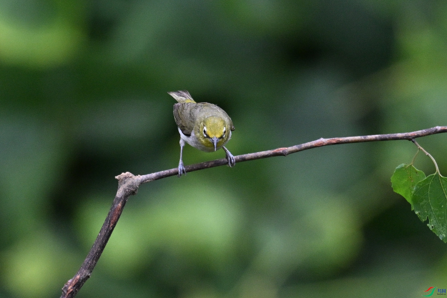 DSC_7915.JPG