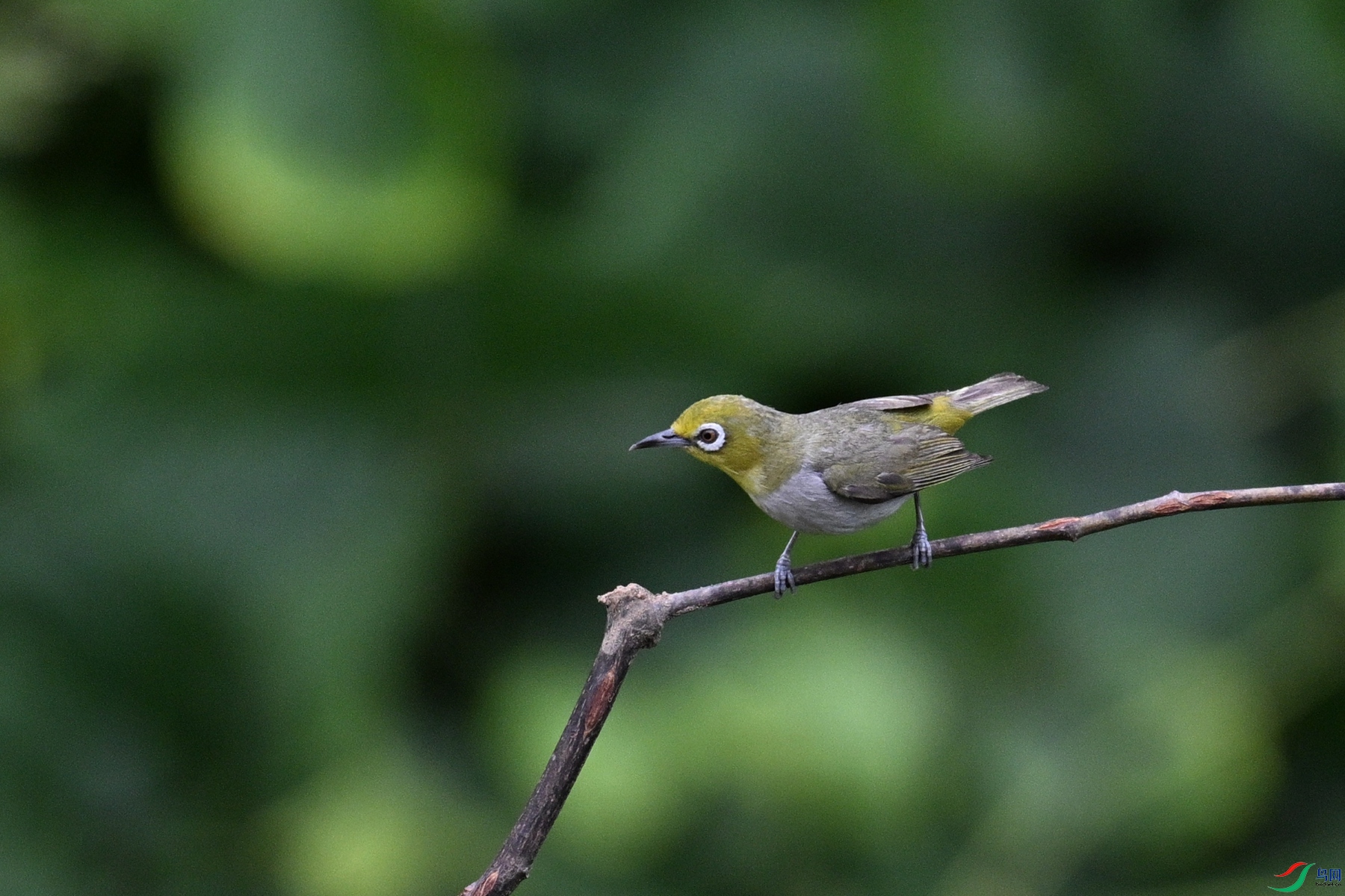 DSC_7931.JPG