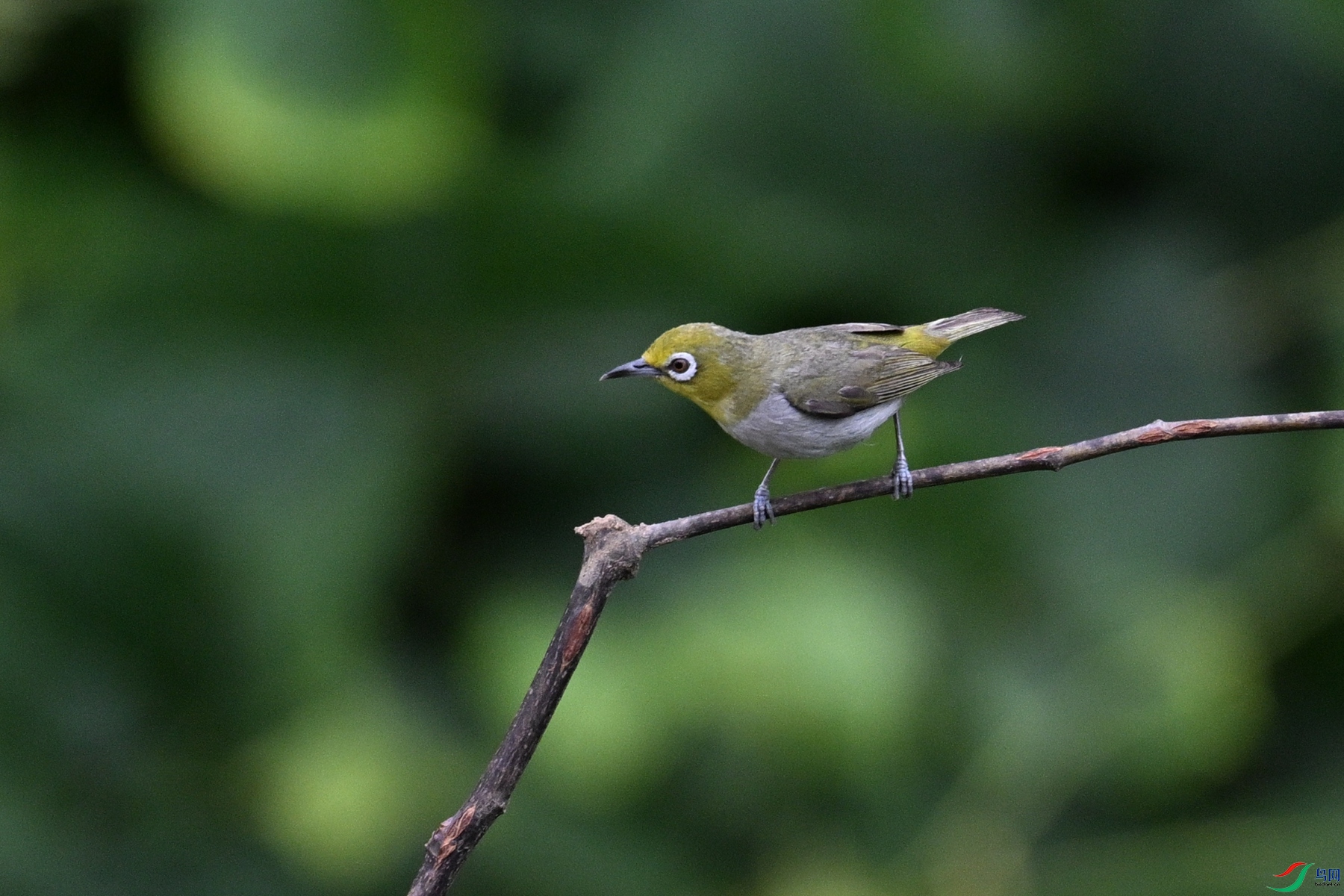 DSC_7944.JPG