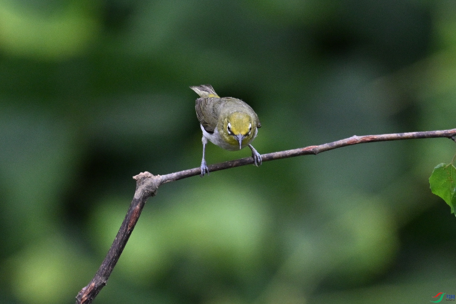 DSC_7922.JPG