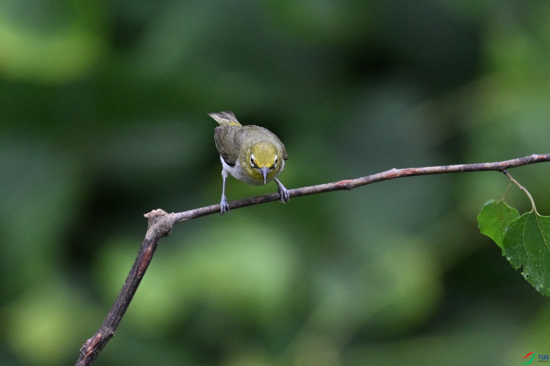 DSC_7923.JPG