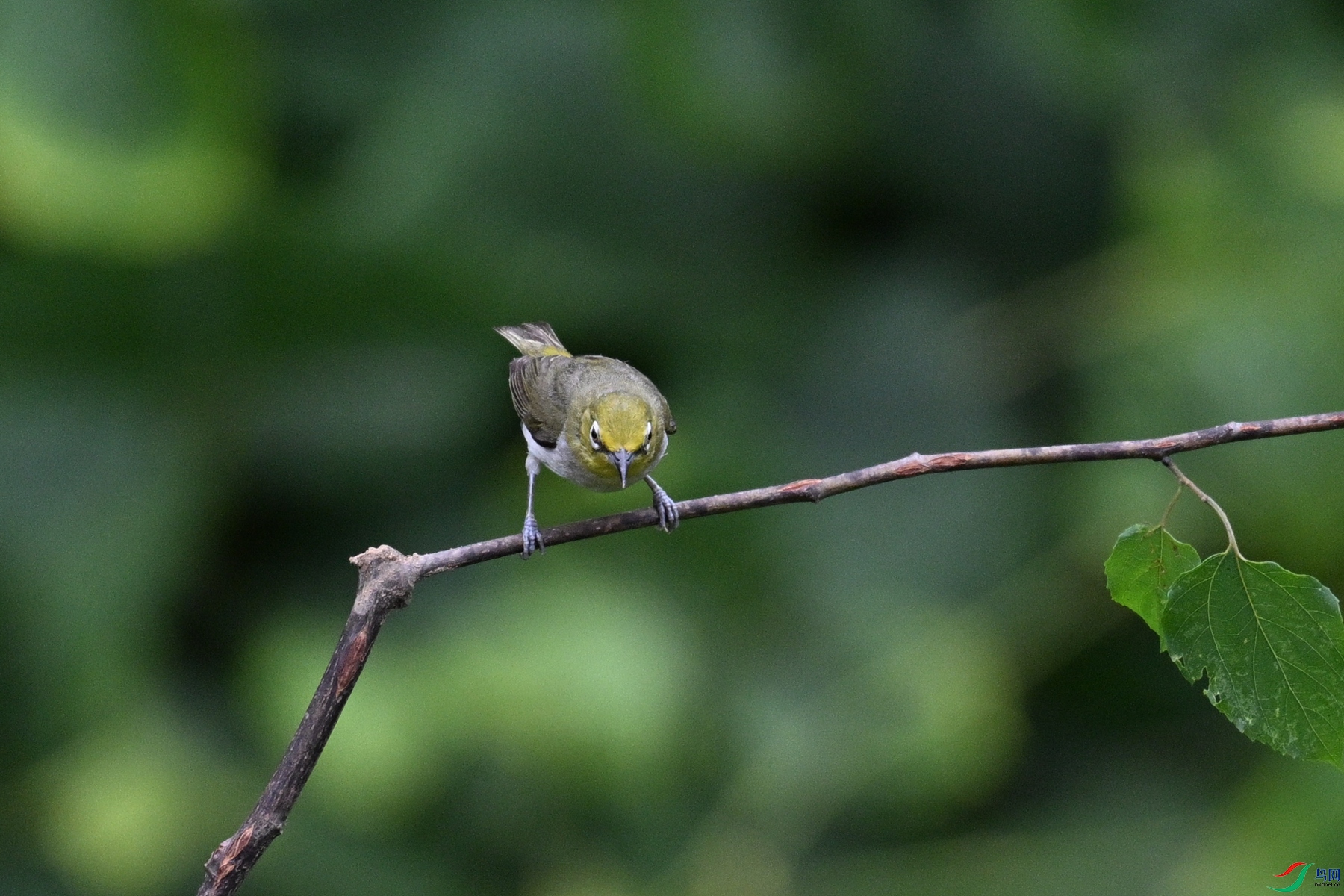 DSC_7925.JPG