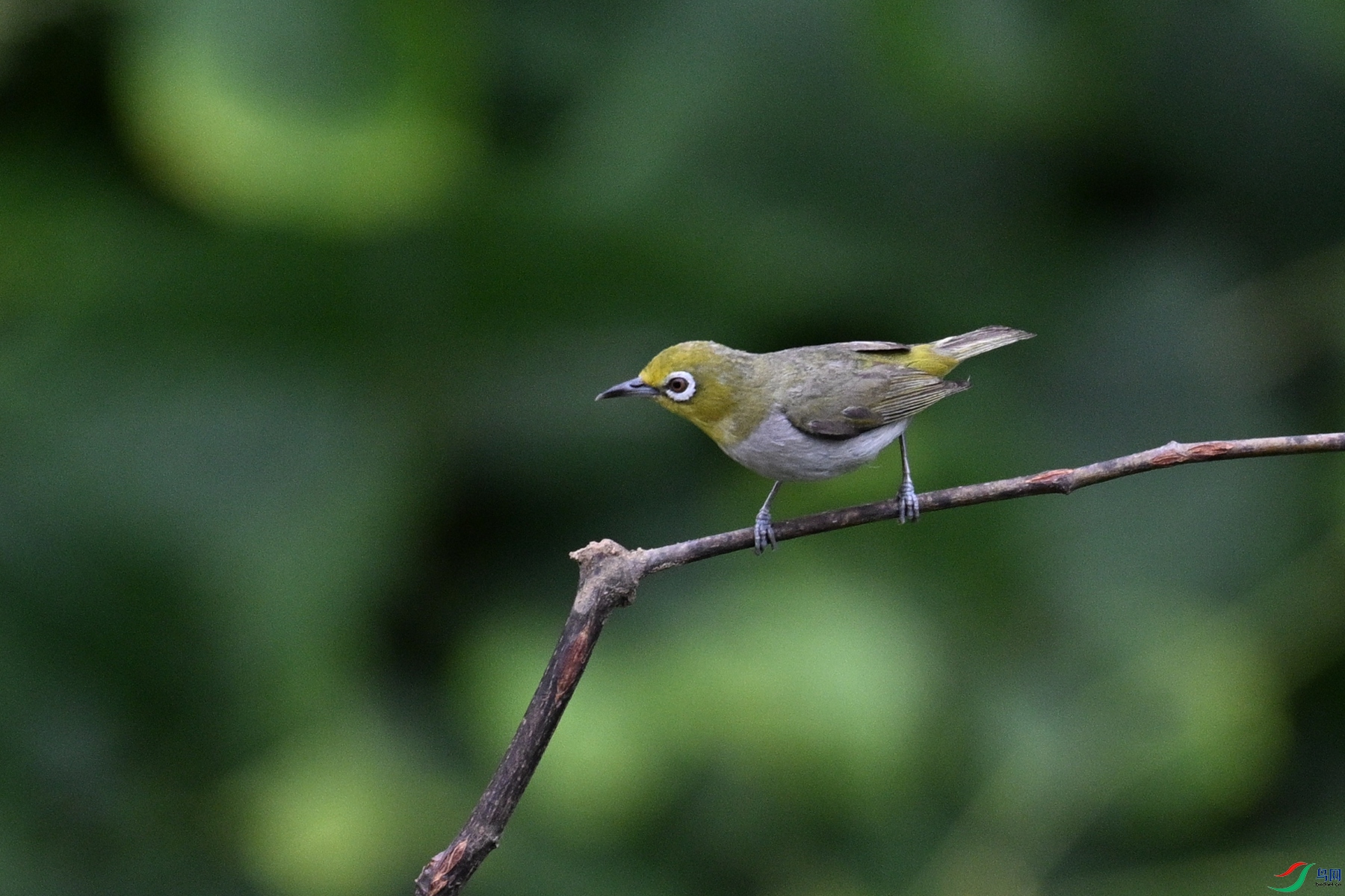 DSC_7943.JPG