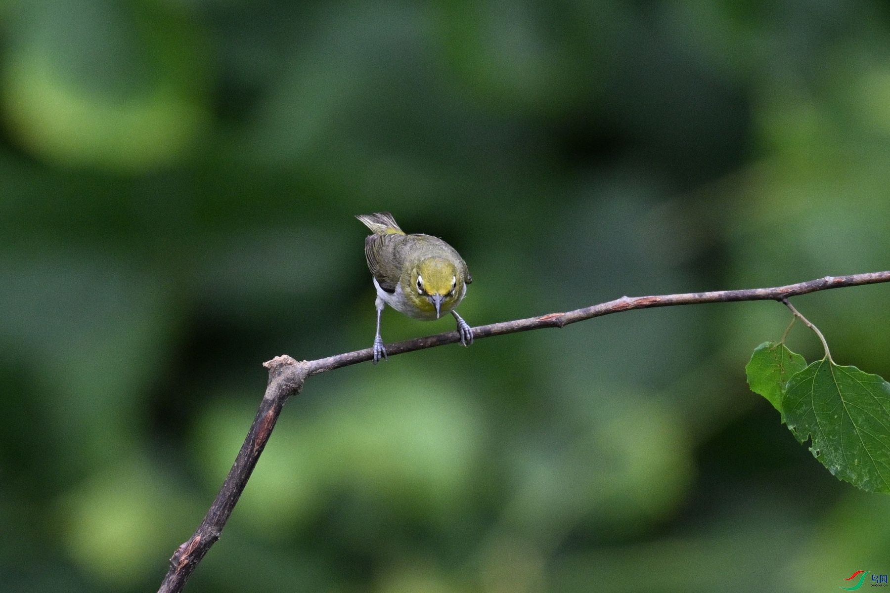 DSC_7926.JPG