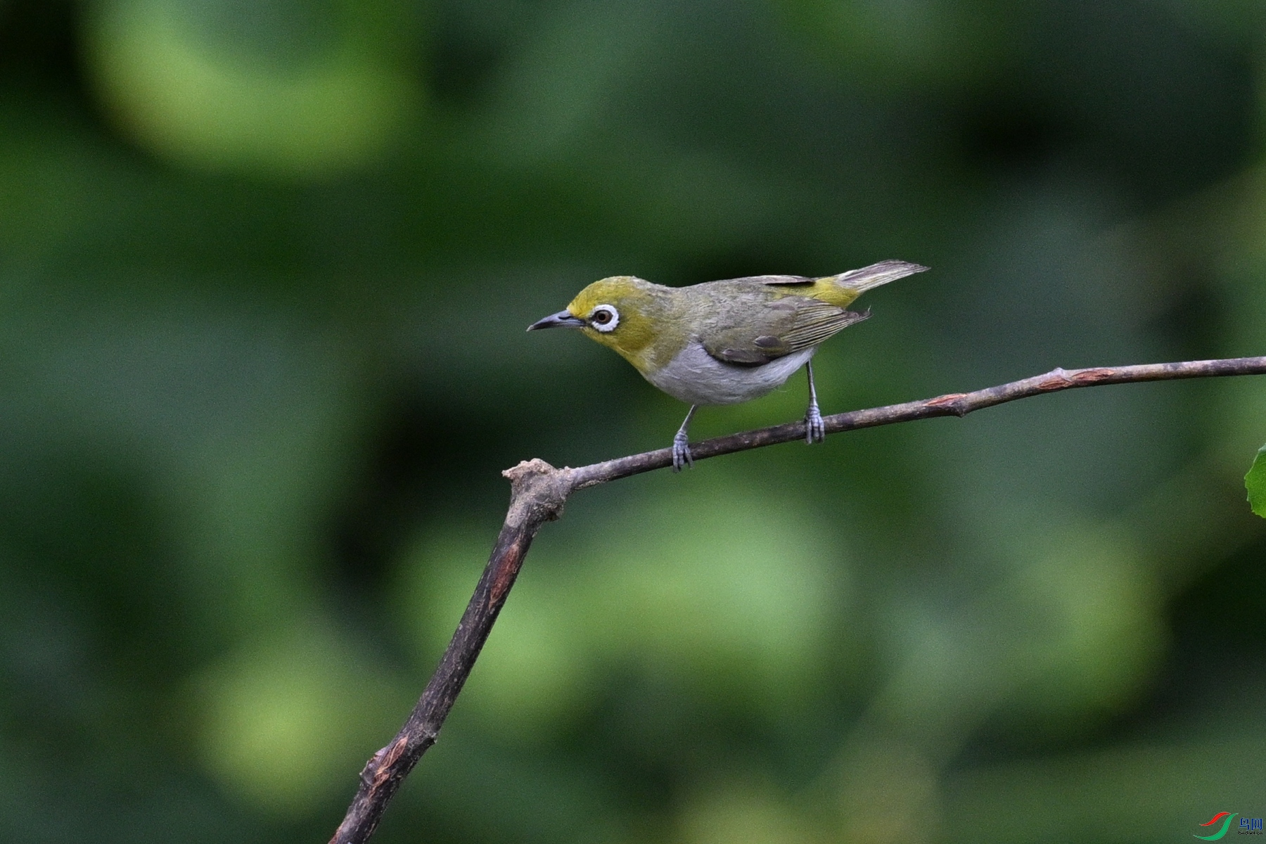 DSC_7946.JPG