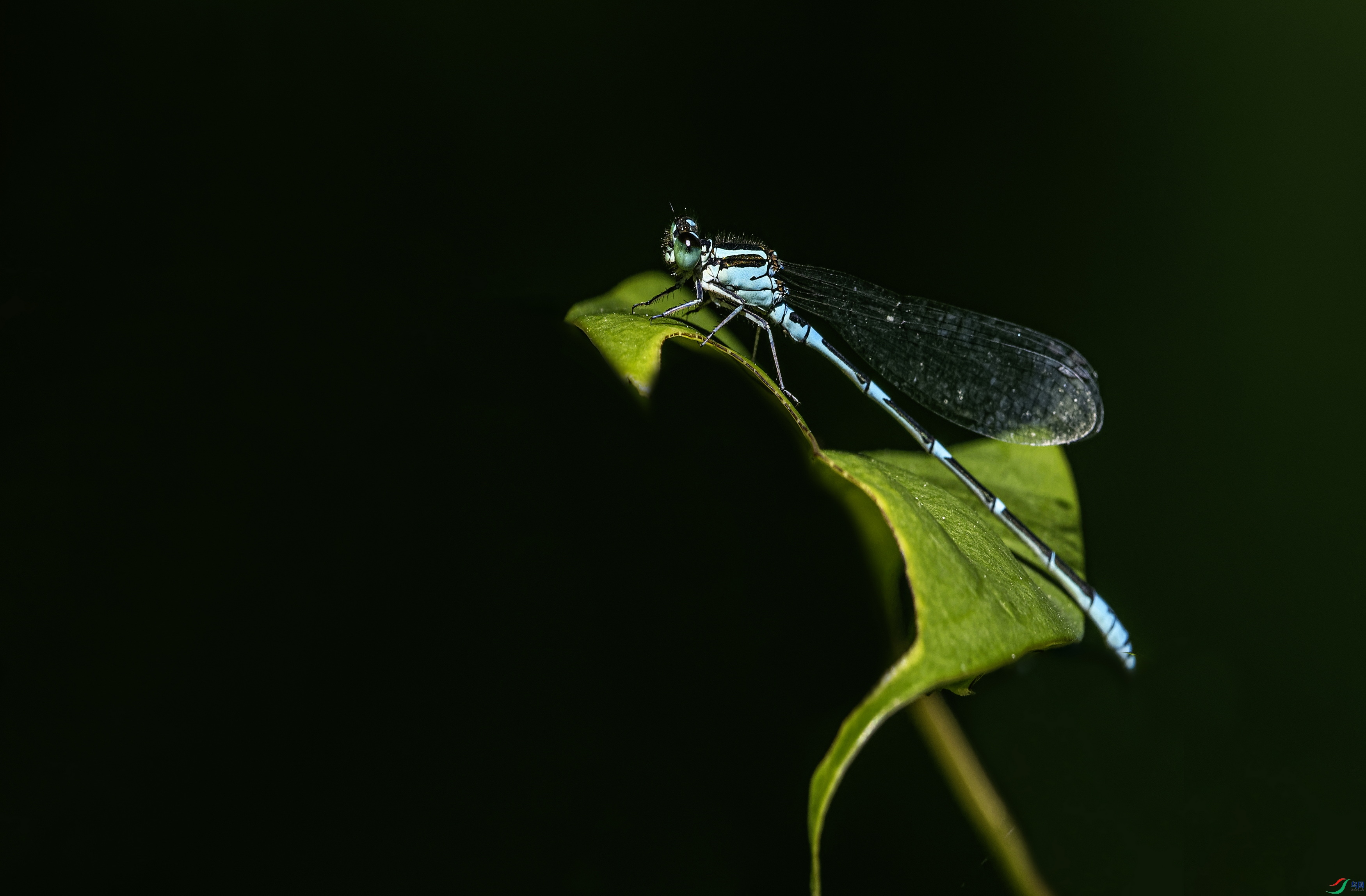 ���� (97)-01.jpg