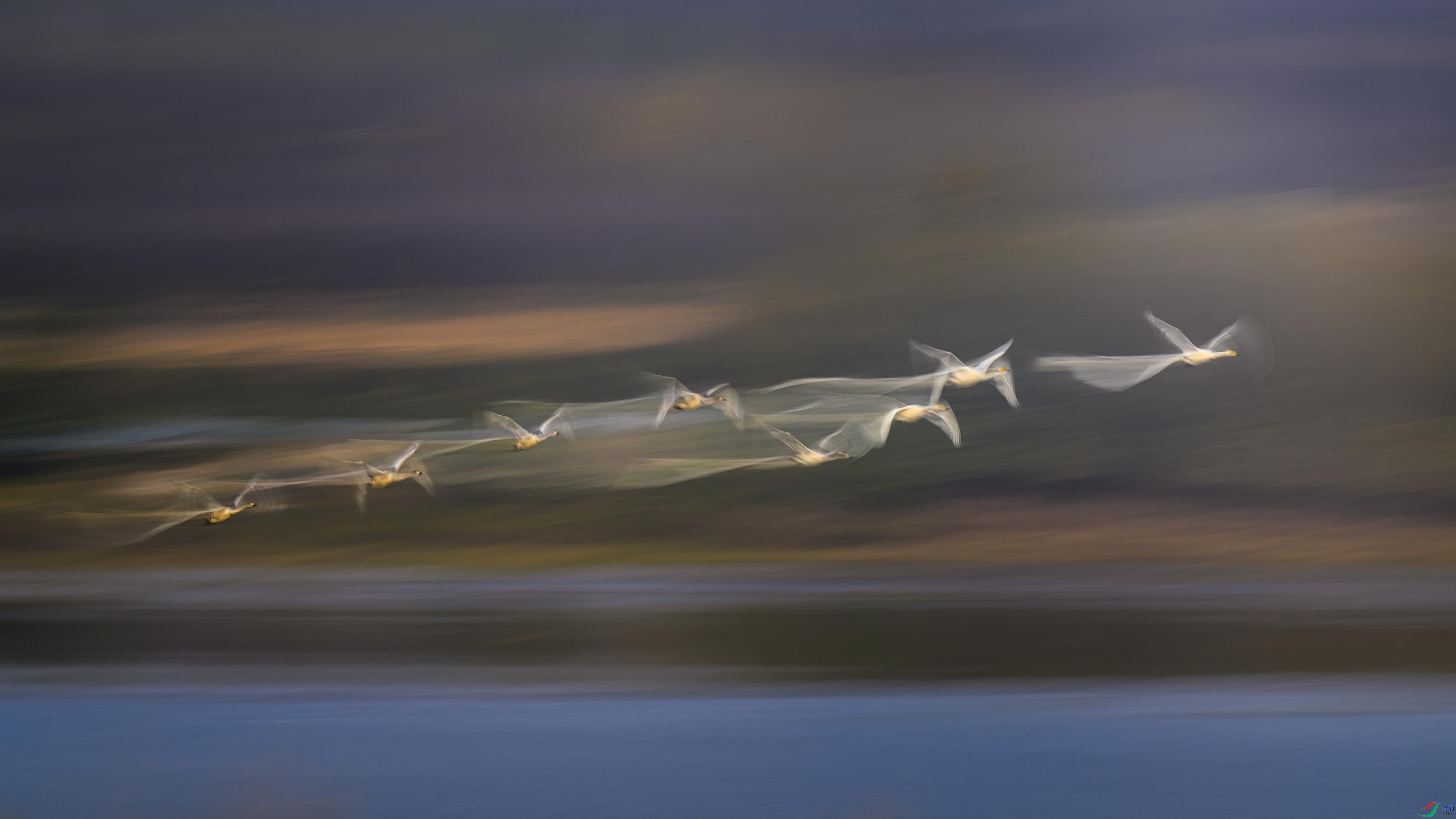 _DSC7239 ���� 2F001.jpg