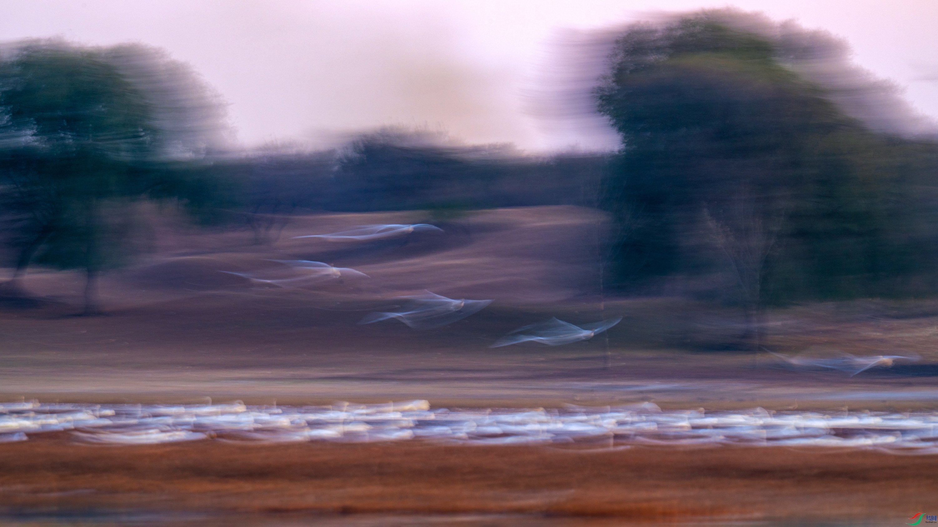 DSC_2961x.jpg