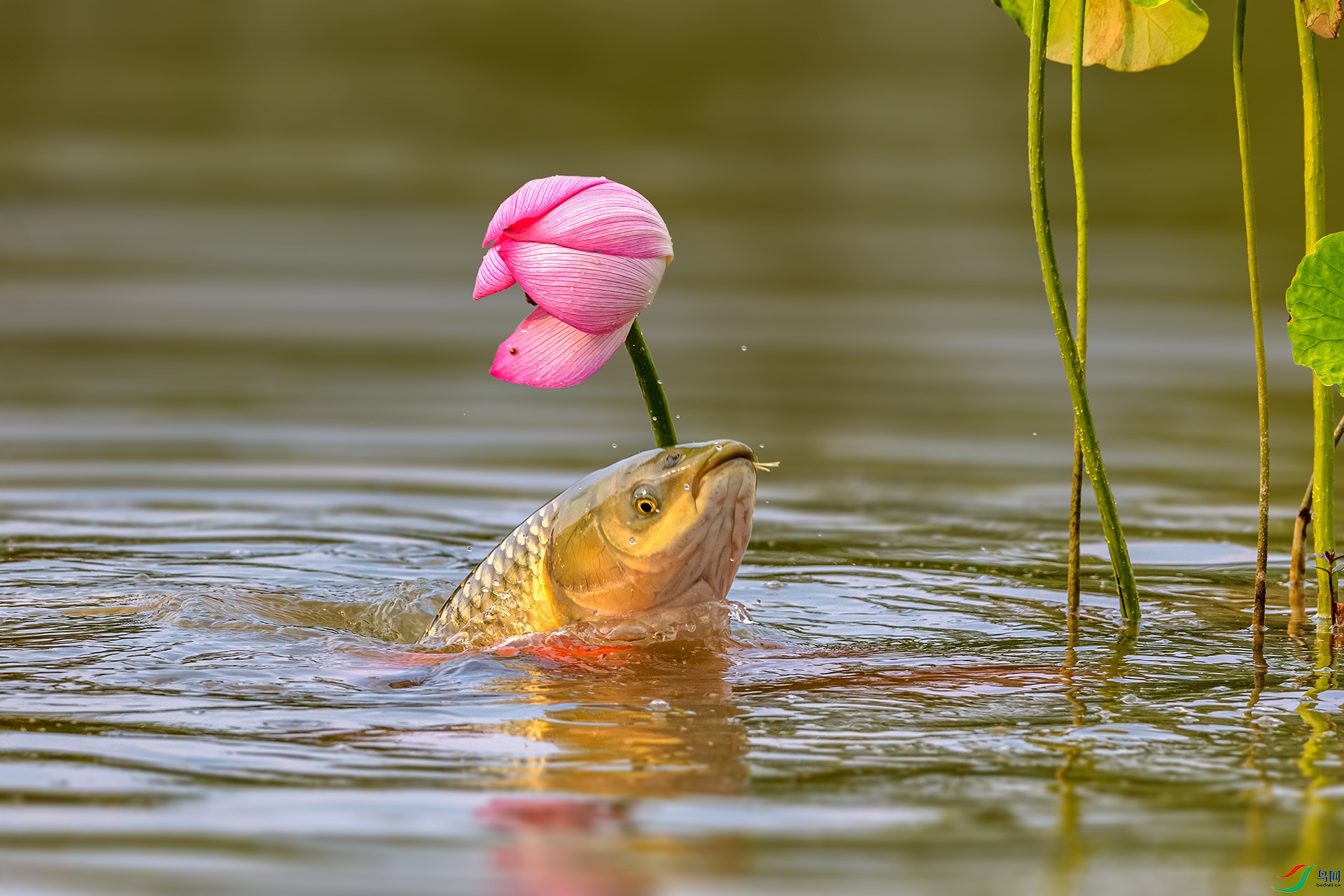 _AUU7868 �����ˮ(25.7.29).jpg