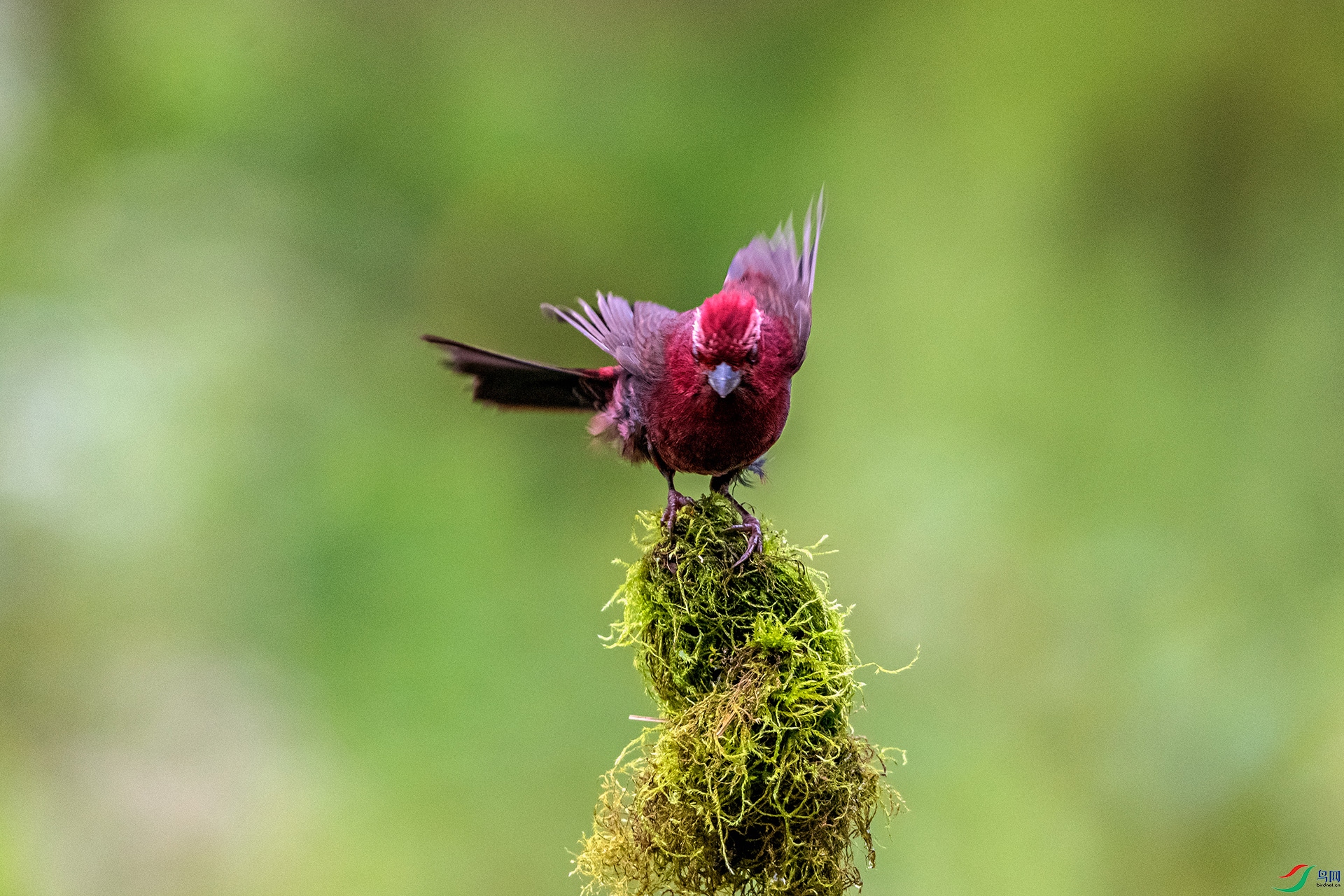 _AUU8826 �ƺ���ȸ(25.8.26).jpg