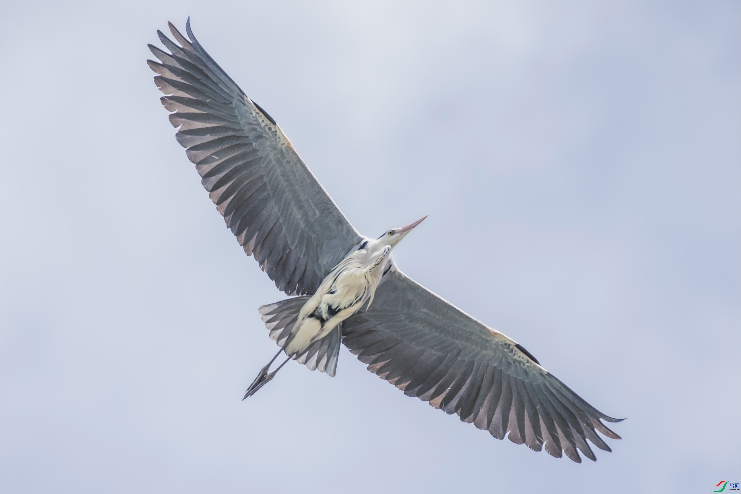 I99A1737 ����10.jpg