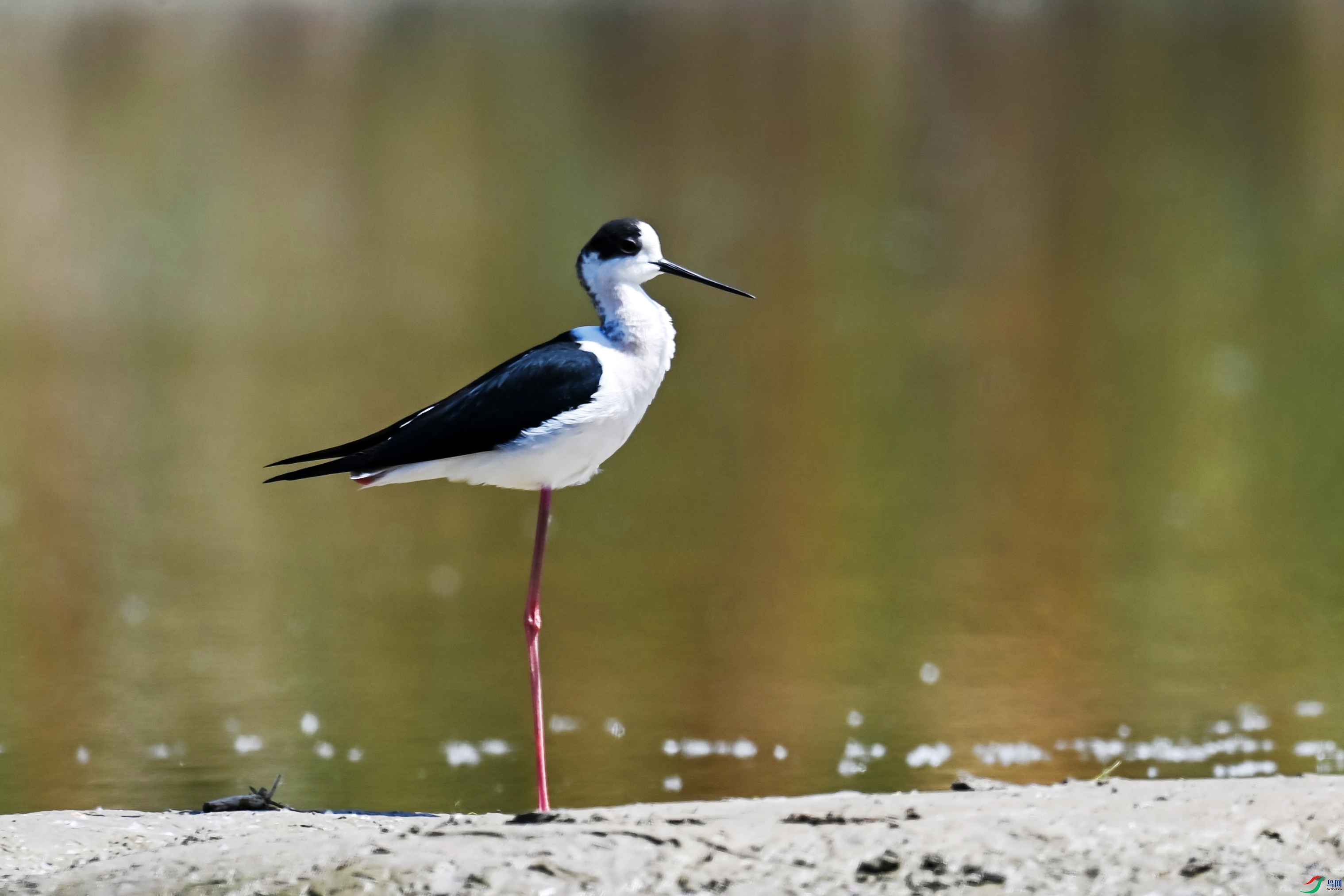 DSC_7380 ����.jpg