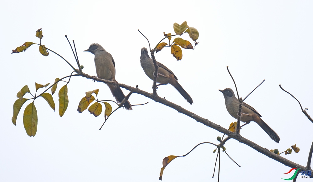 DSCF9201.1.jpg