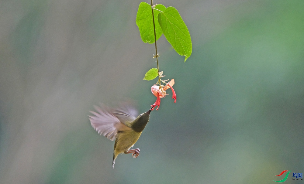 DSCF9212.1.jpg
