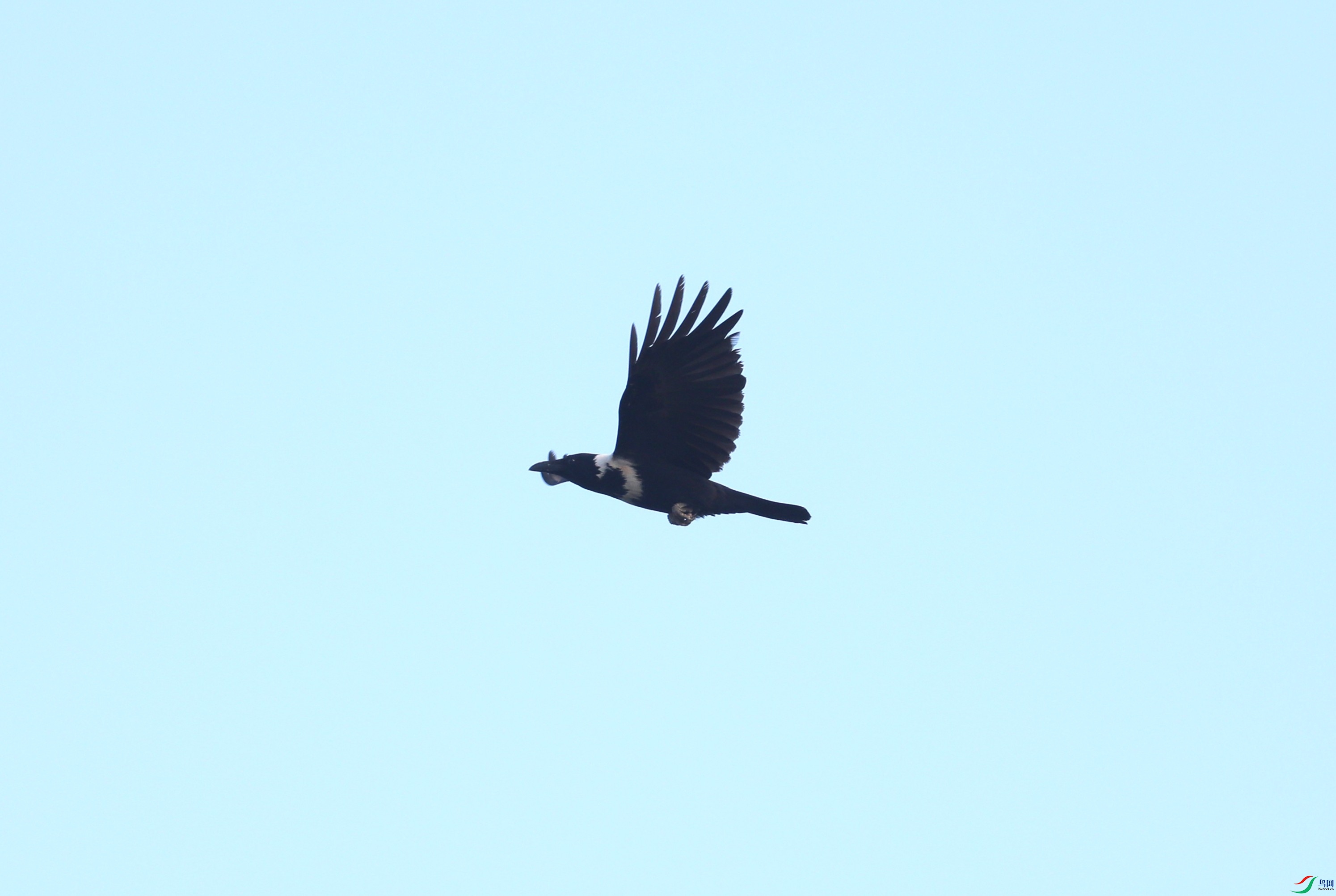 BL7A4644.JPG