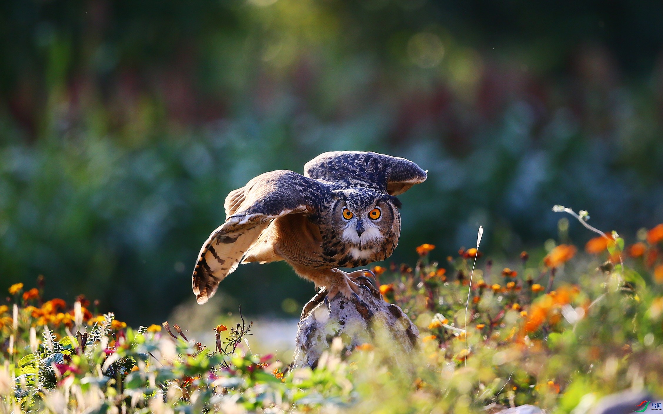 ���^  (136).JPG