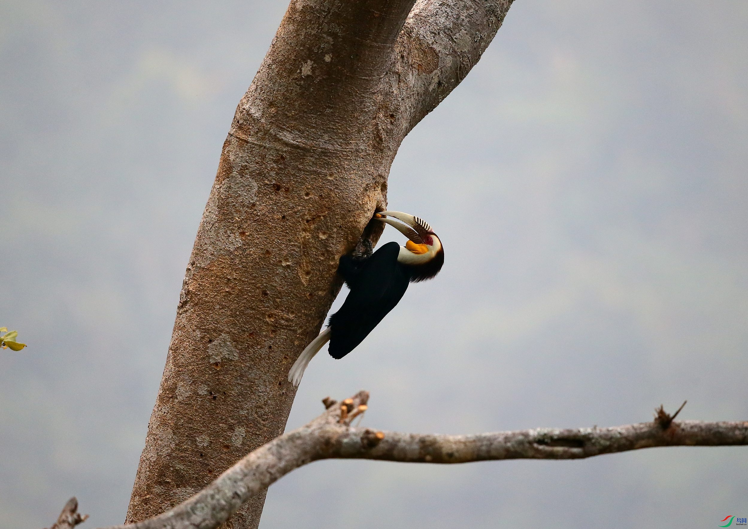 �������Ϭ�� (34).JPG