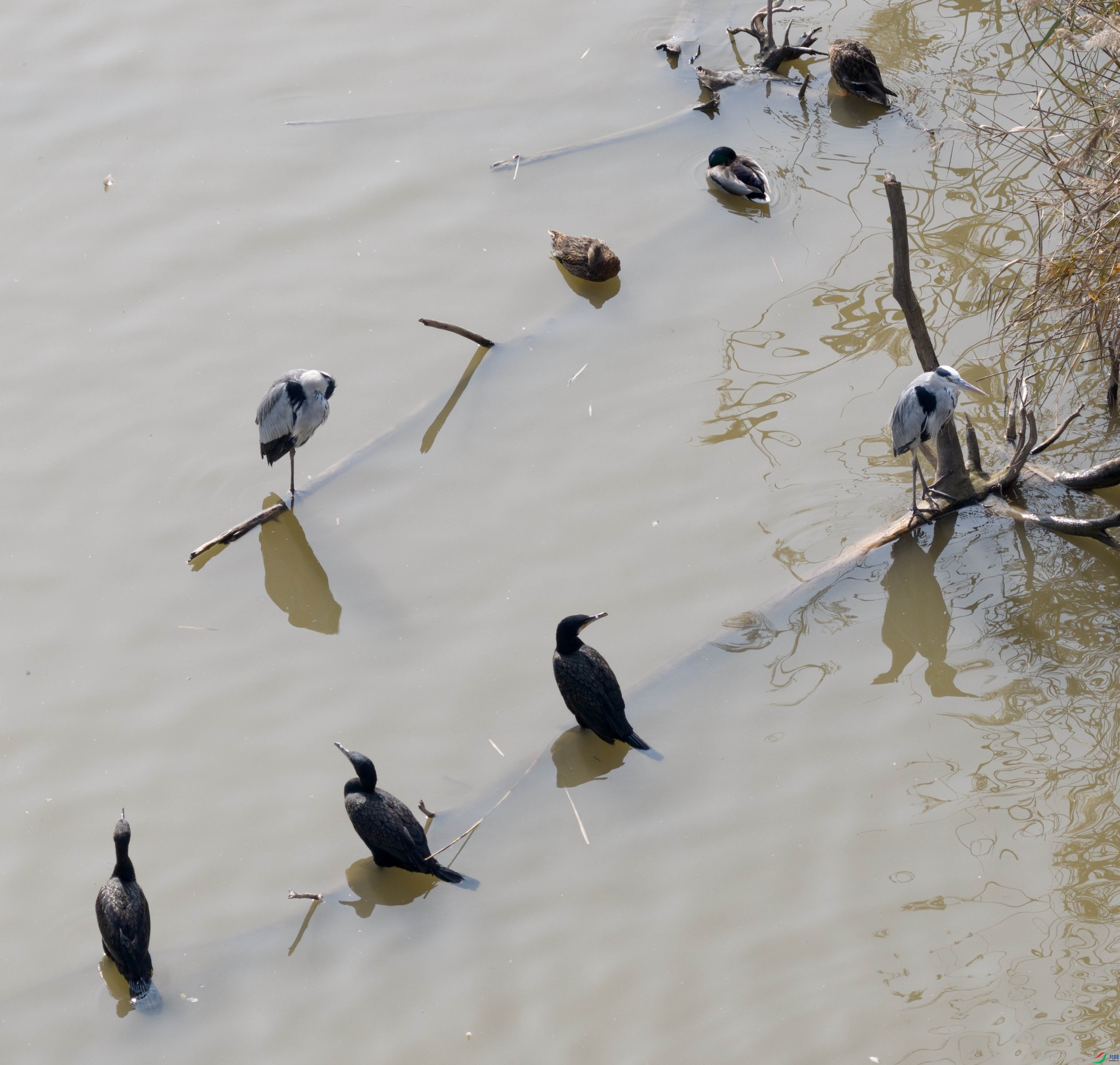 DJI_20251111110749_0139_D ����.jpg