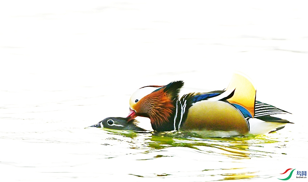 DSC_2900.JPG