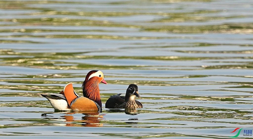 DSC_2667.JPG