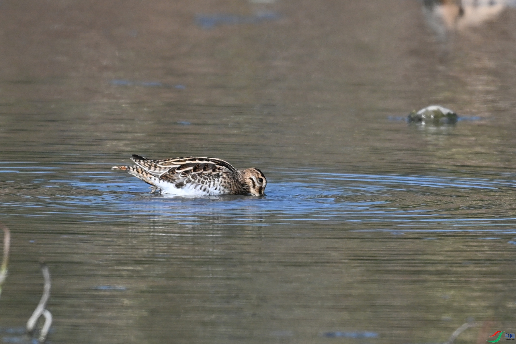DSC_5063.JPG