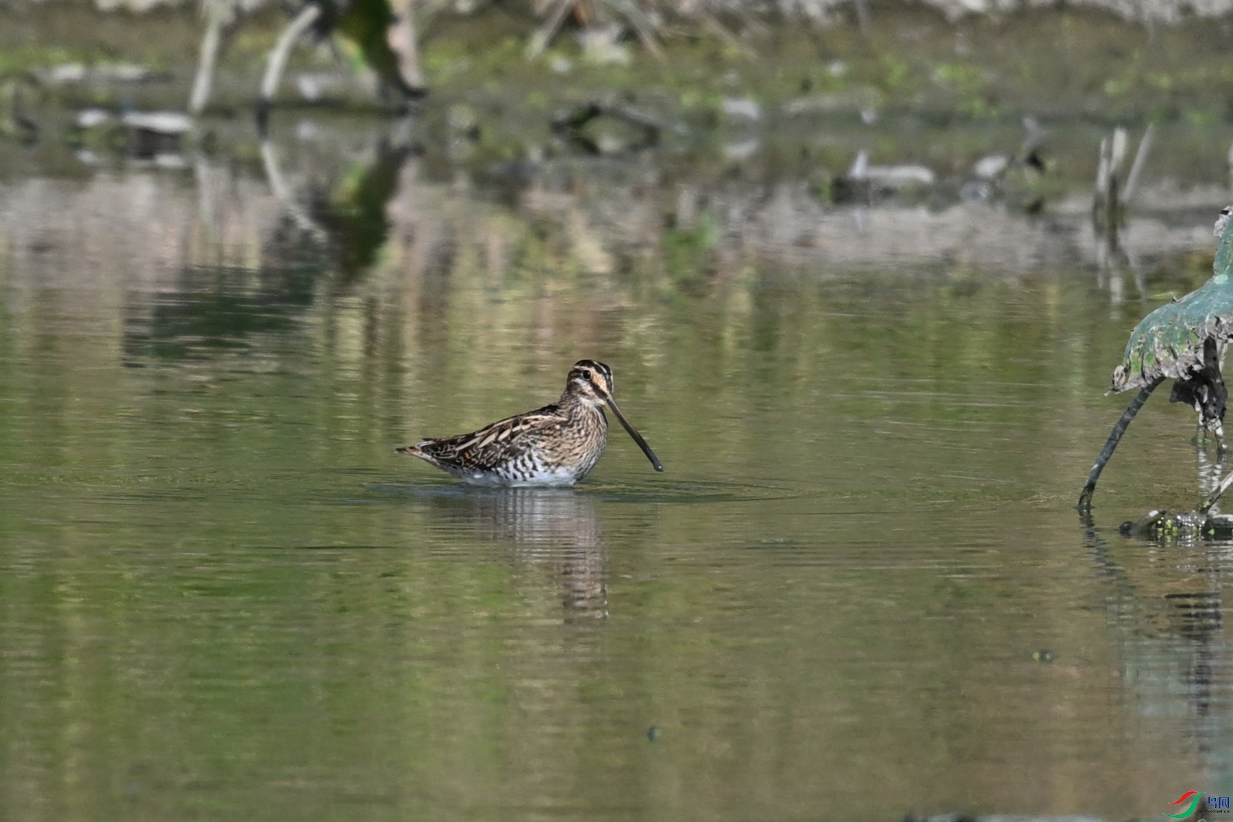 DSC_5057.JPG