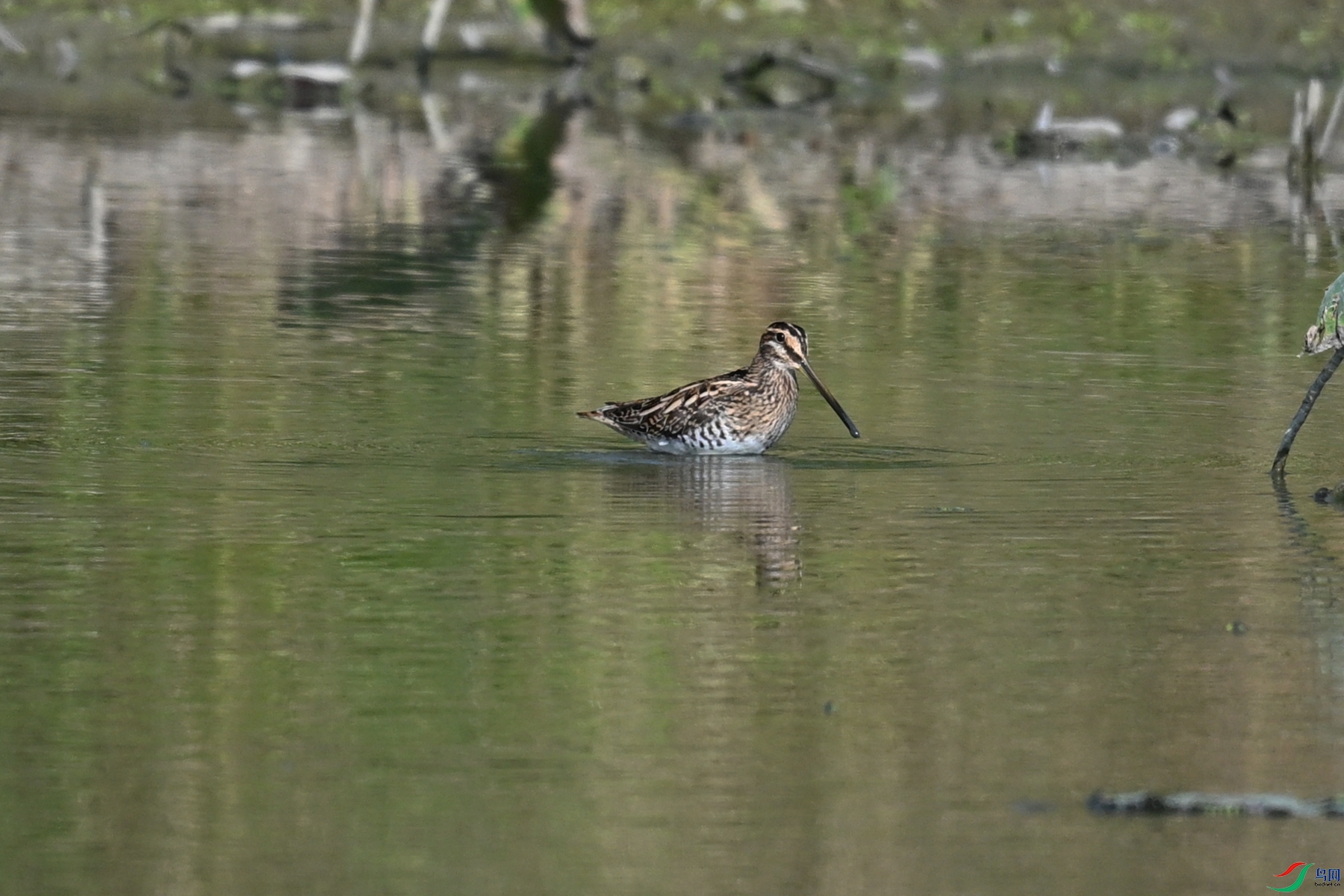 DSC_5058.JPG