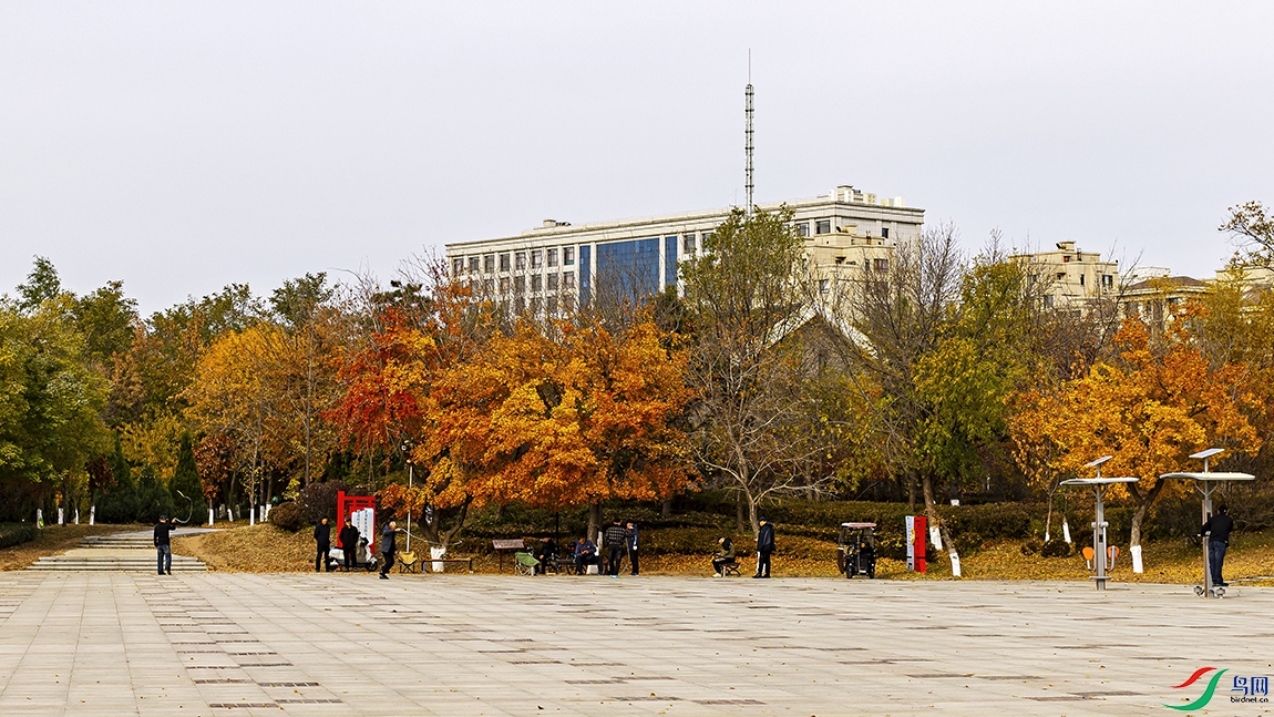_5LM6182a.jpg
