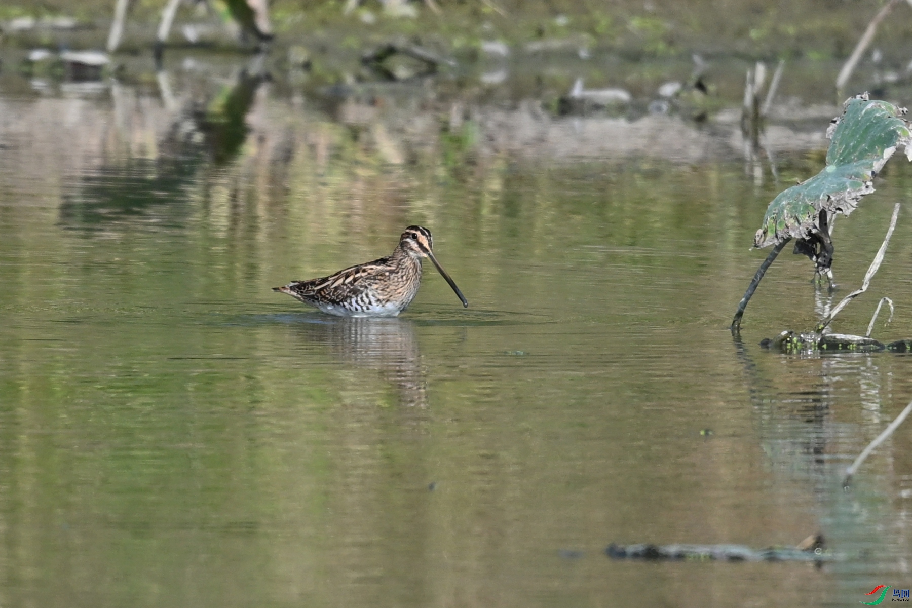 DSC_5059.JPG
