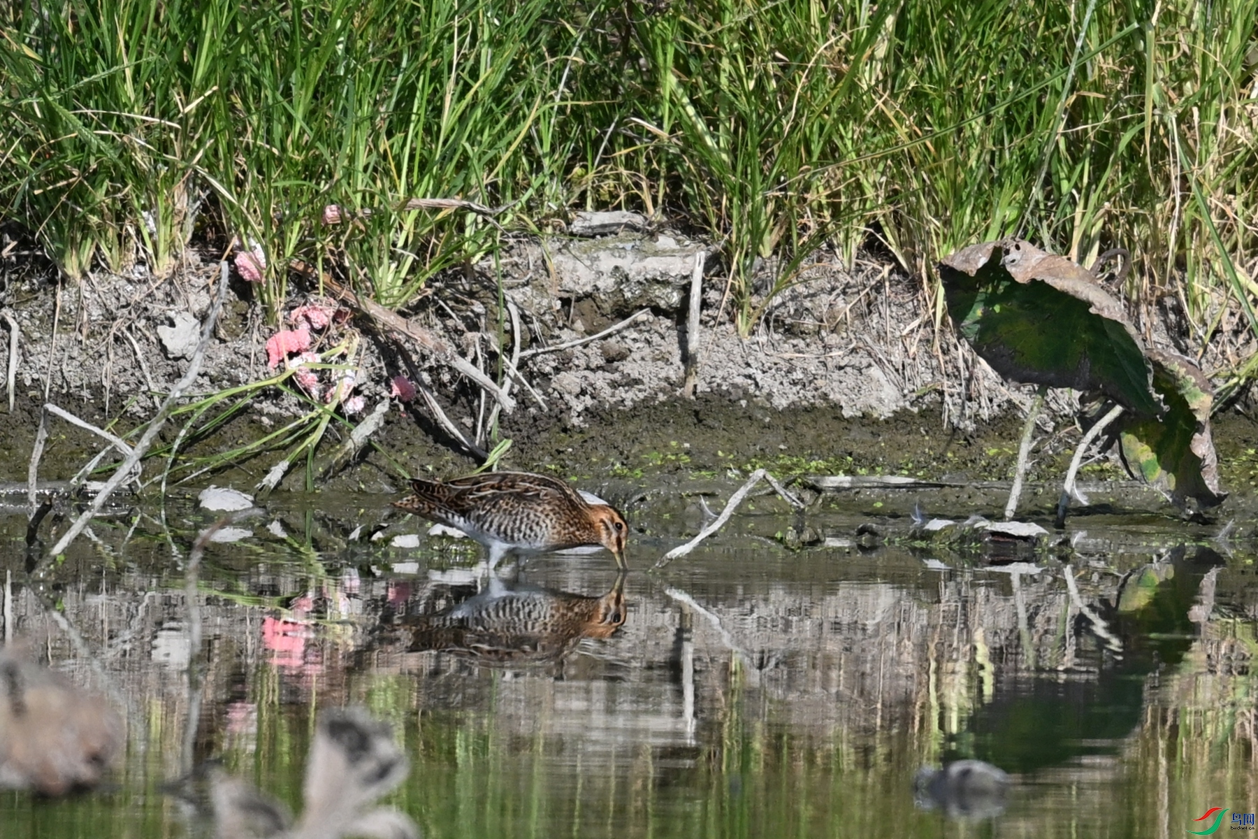 DSC_5069.JPG
