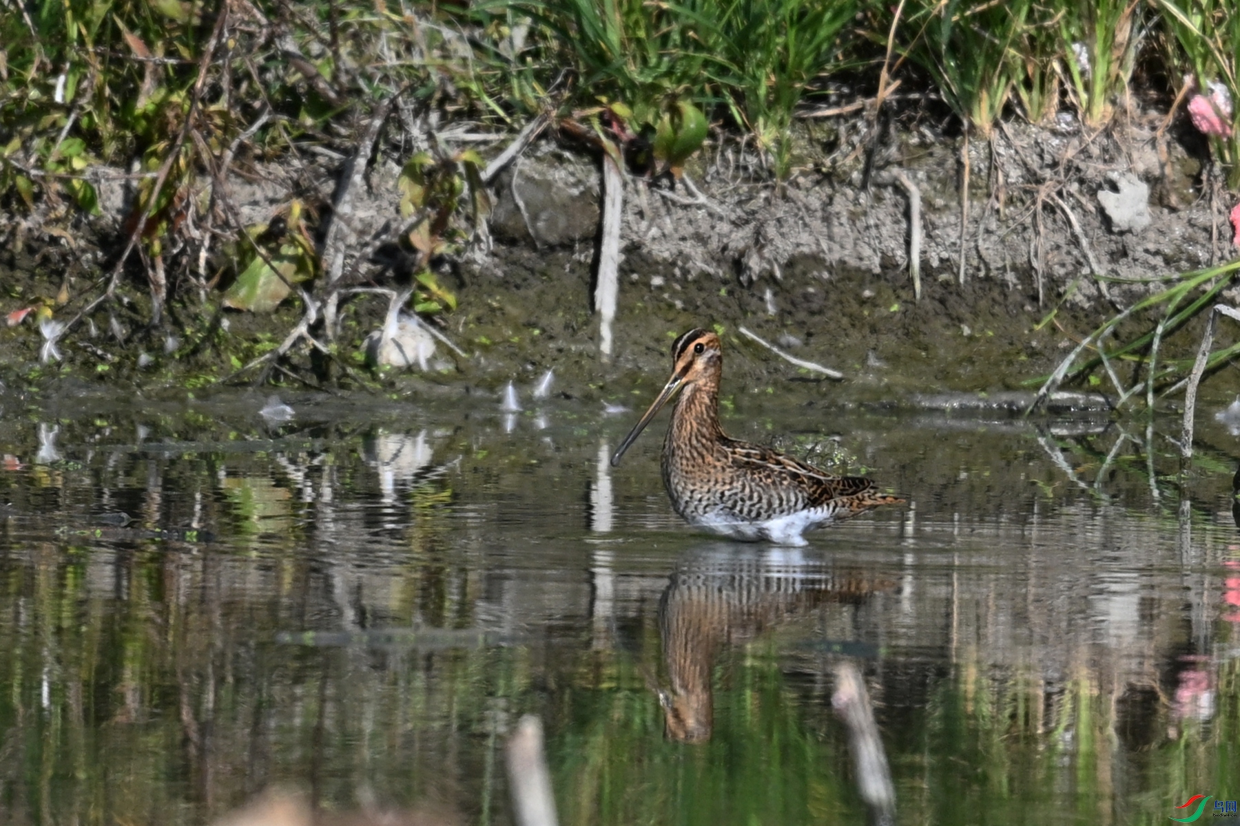 DSC_5072.JPG
