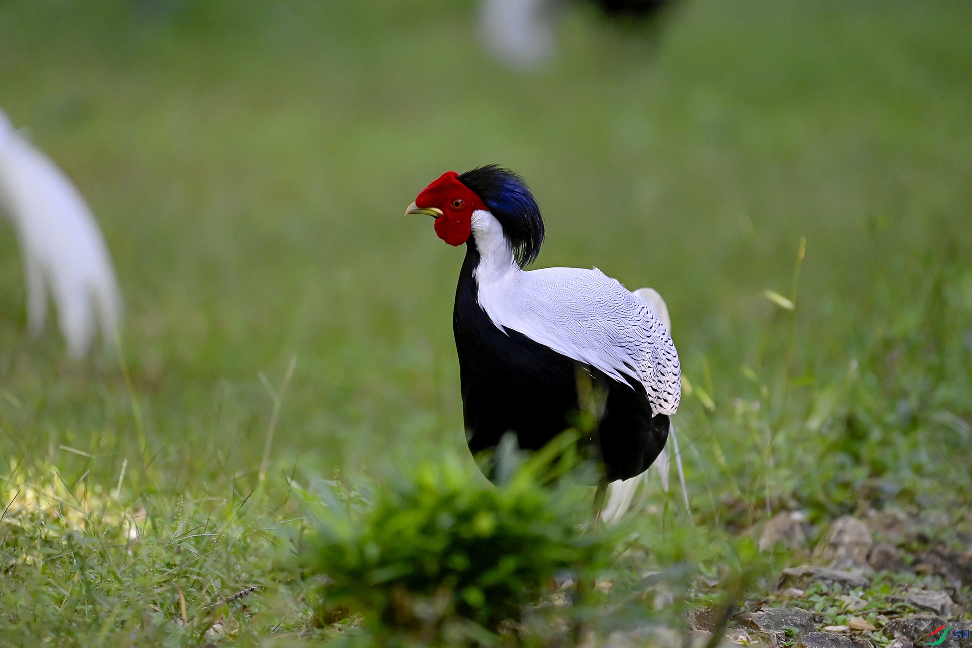 _DSC6489 ����.jpg