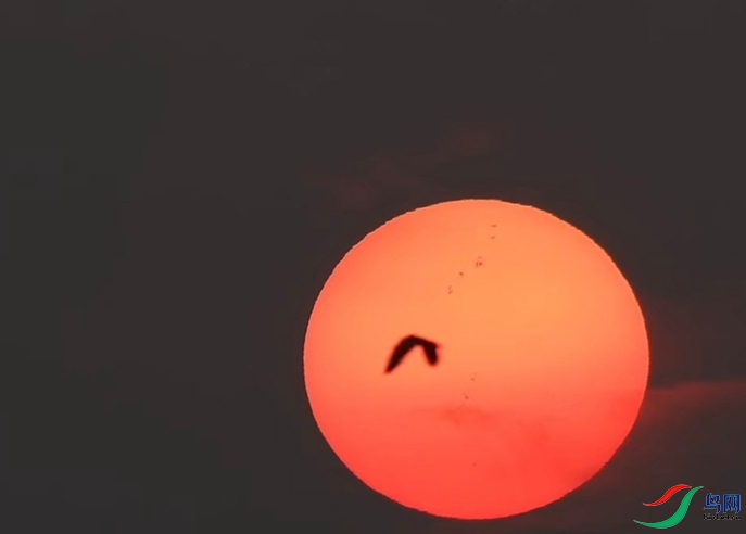 ΢��ͼƬ_20250721110436_����.jpg