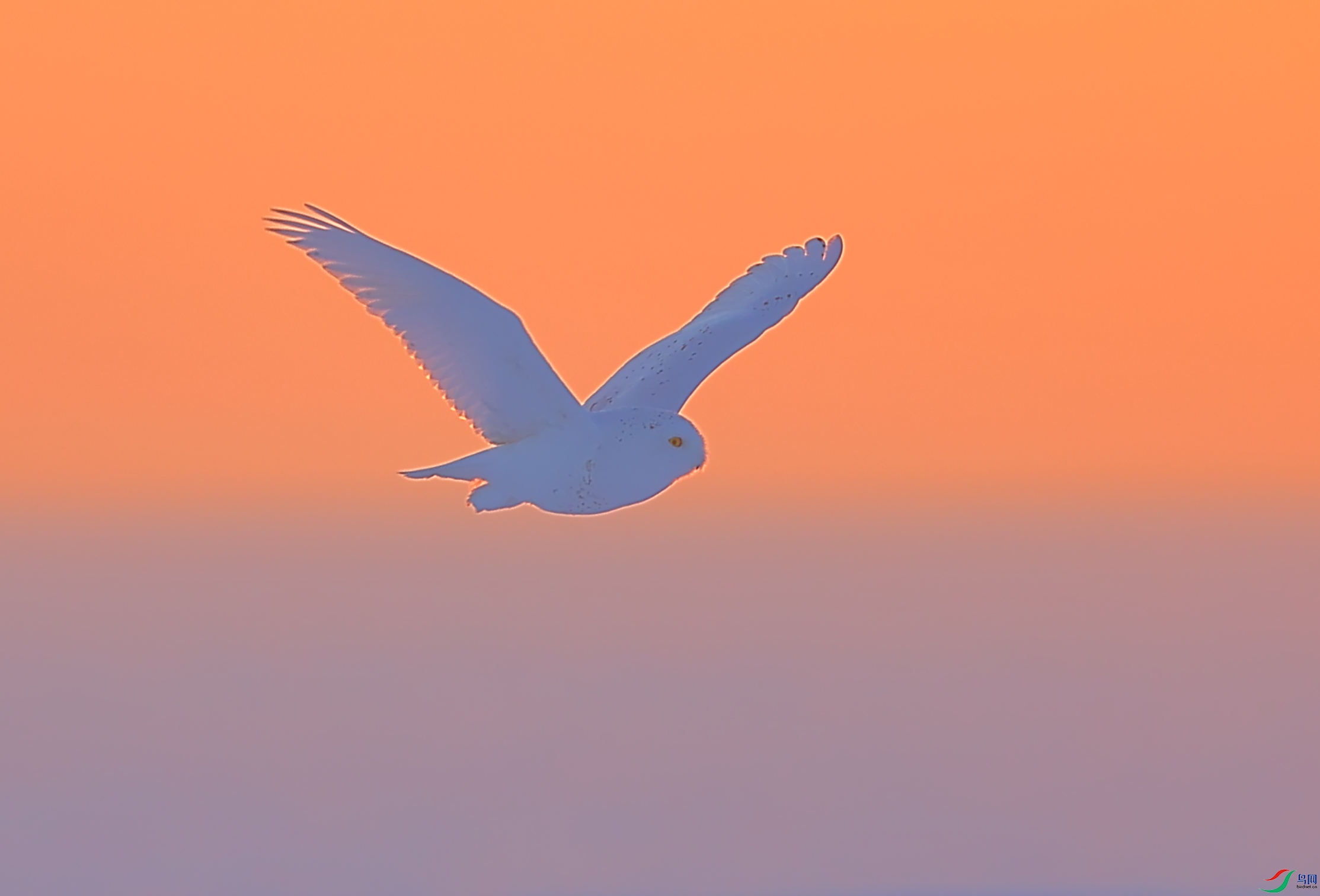 0X2A7045.JPG