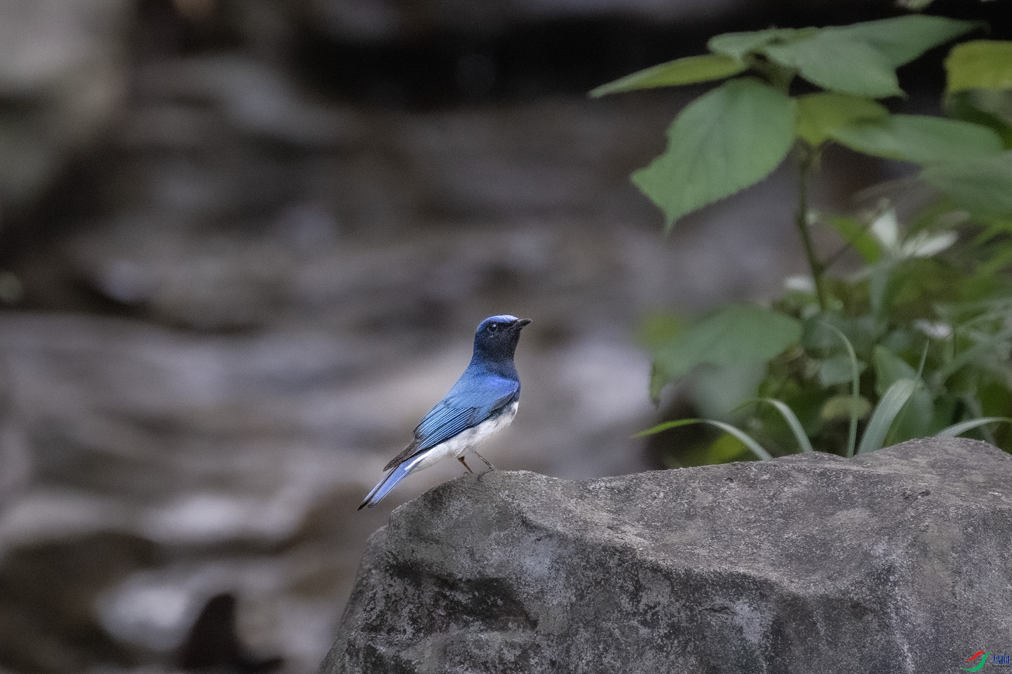 DSC_0900.jpg