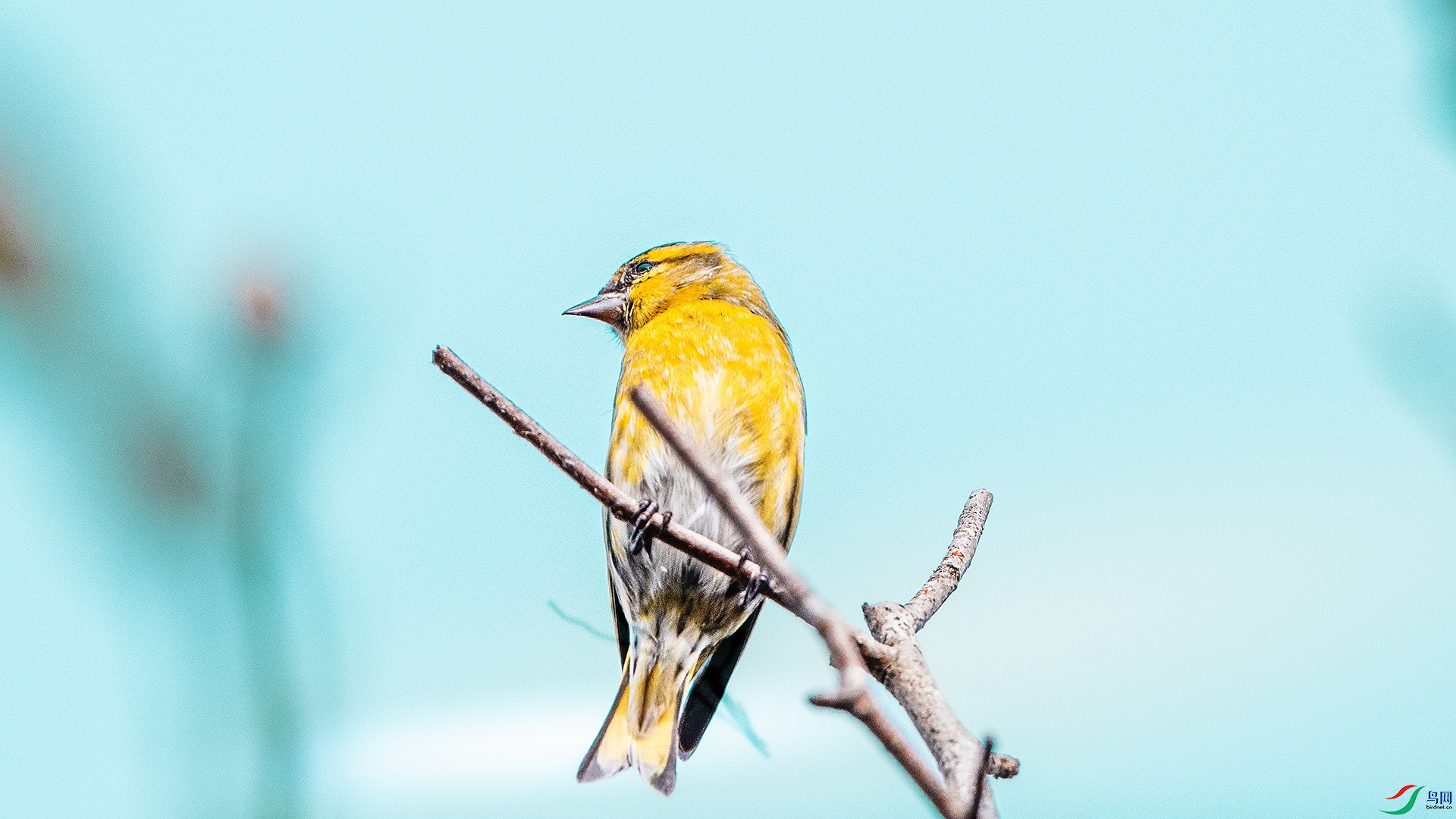 DSC_7171 ����.jpg