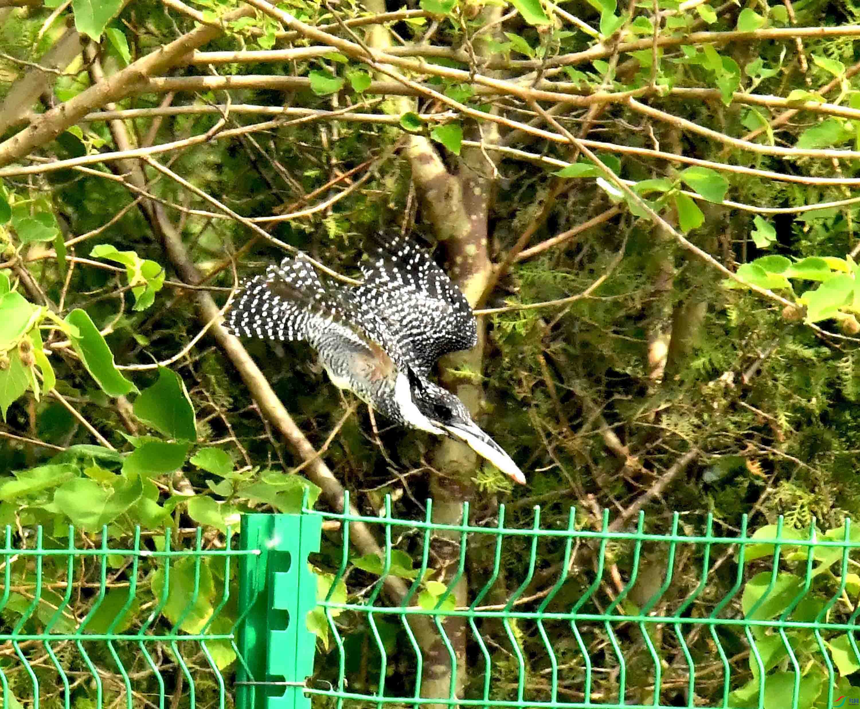 DSC_3769.JPG