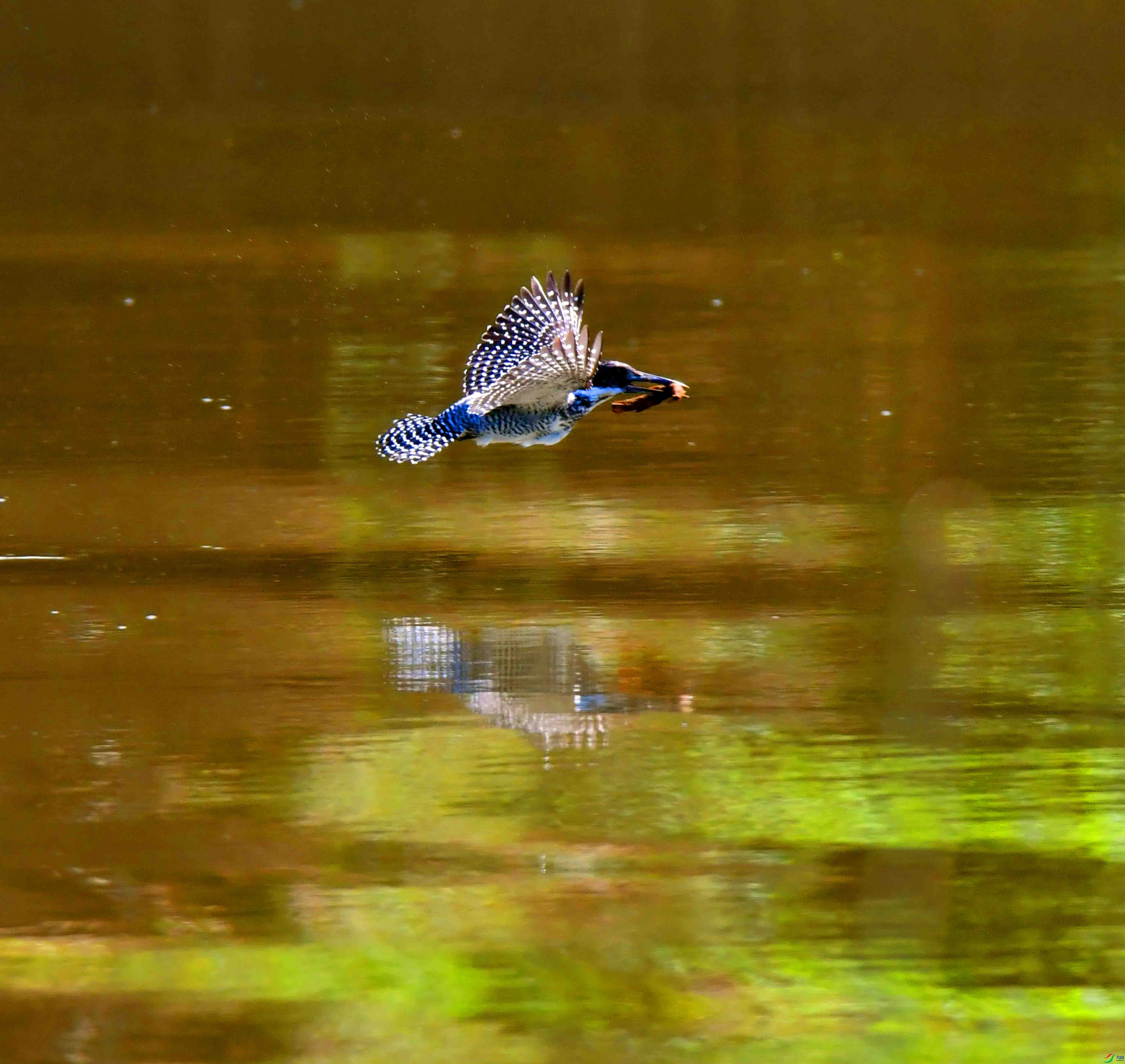 DSC_4002.JPG