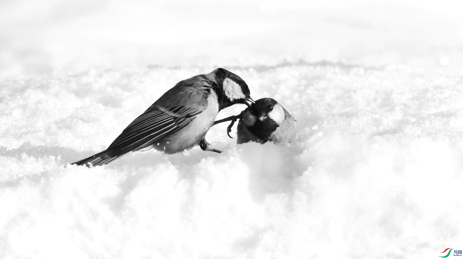 0G1A4055 ����.jpg