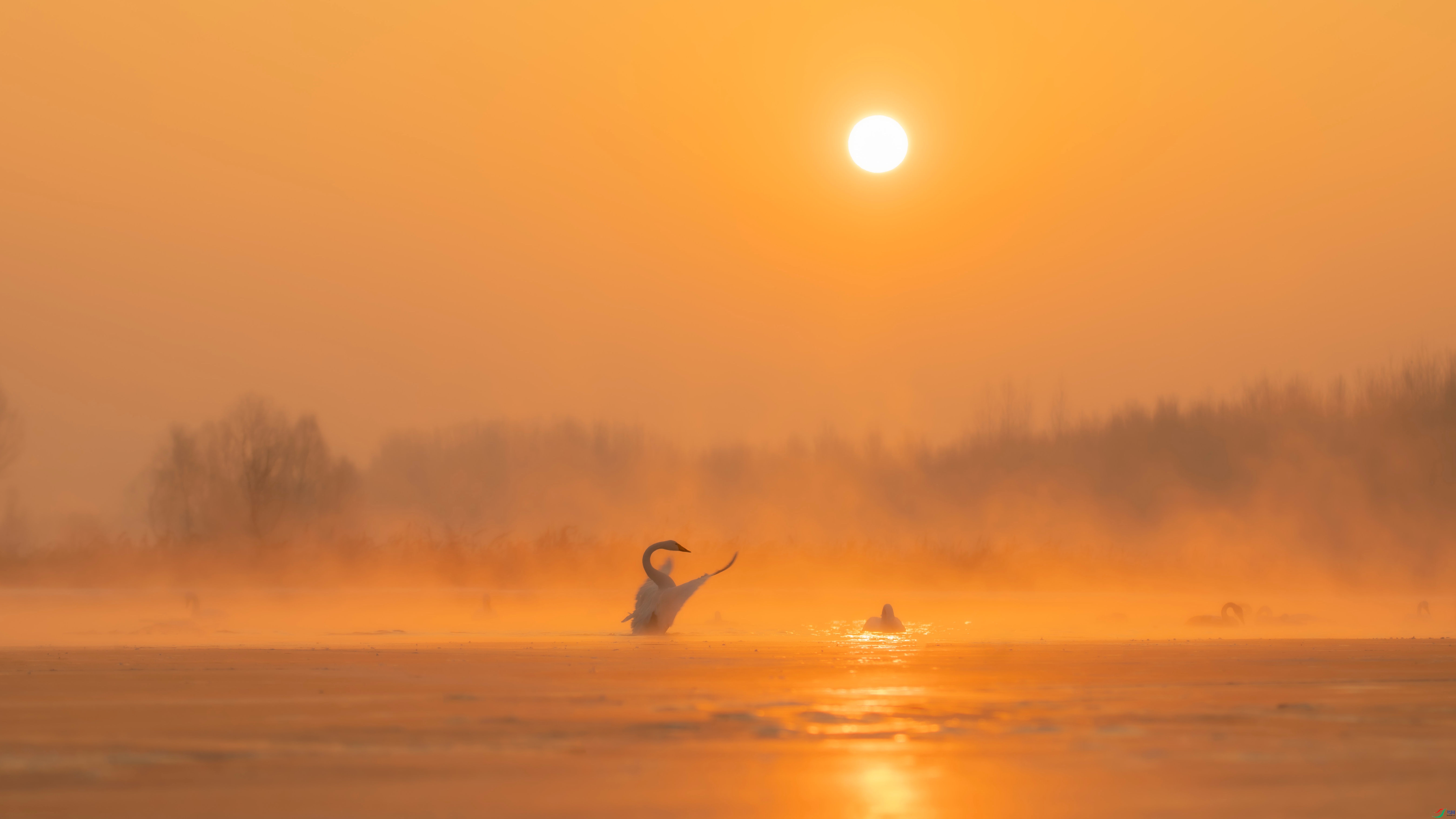 DIB_7890_����.jpg