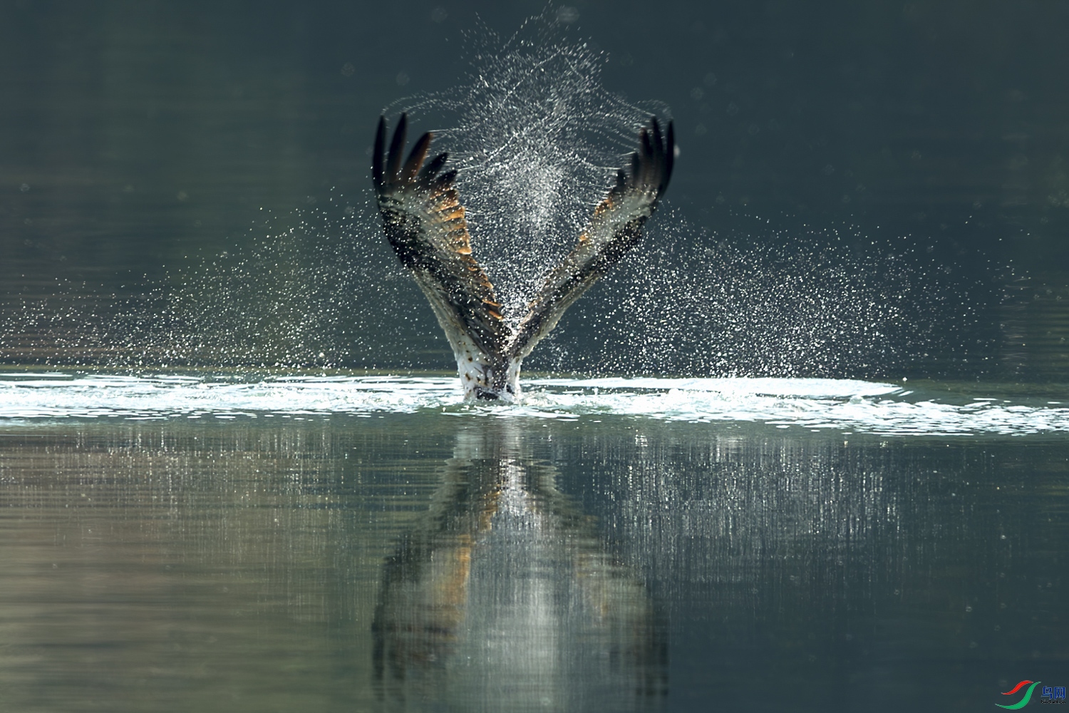 AQ9I7757-����ǿ-NR ����.jpg