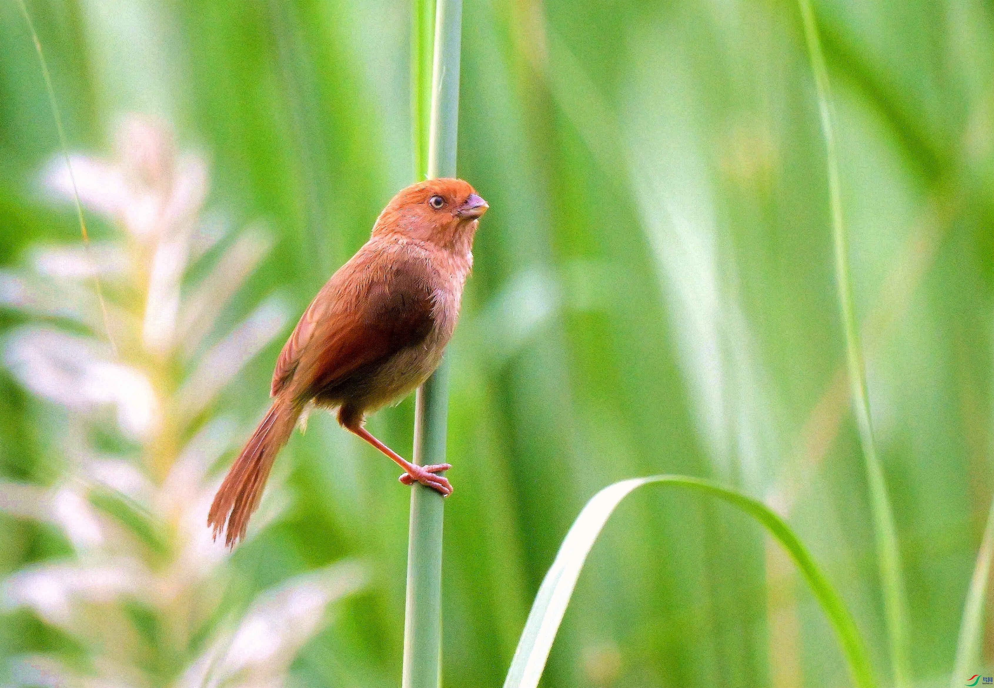 DSC_6432.jpg