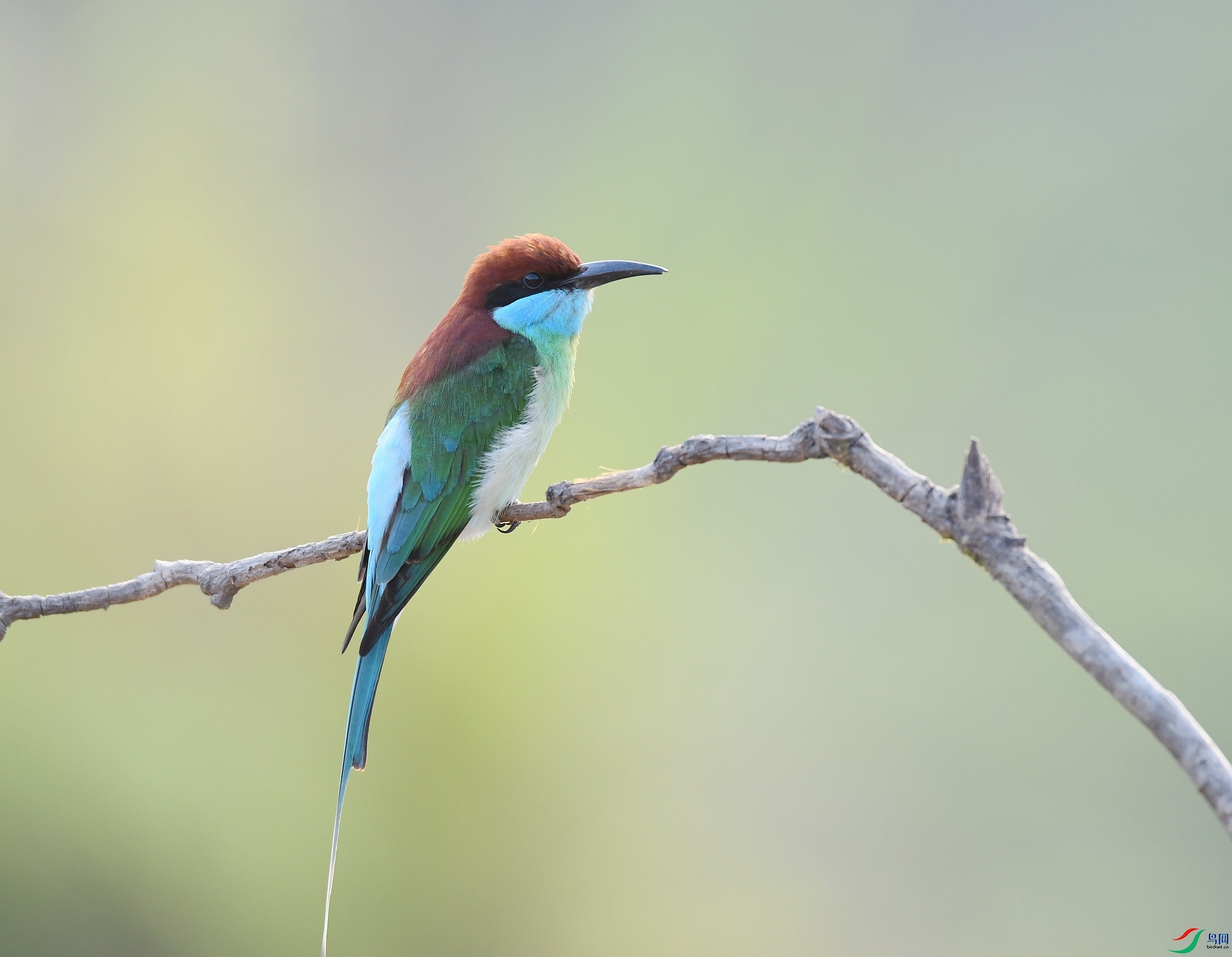DSC_0522.jpg